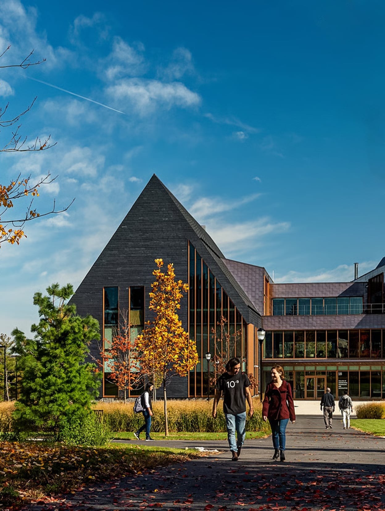 Modern Campus Building with Students Walking on Pathway Students walking near a modern university building with autumn trees and clear sky.