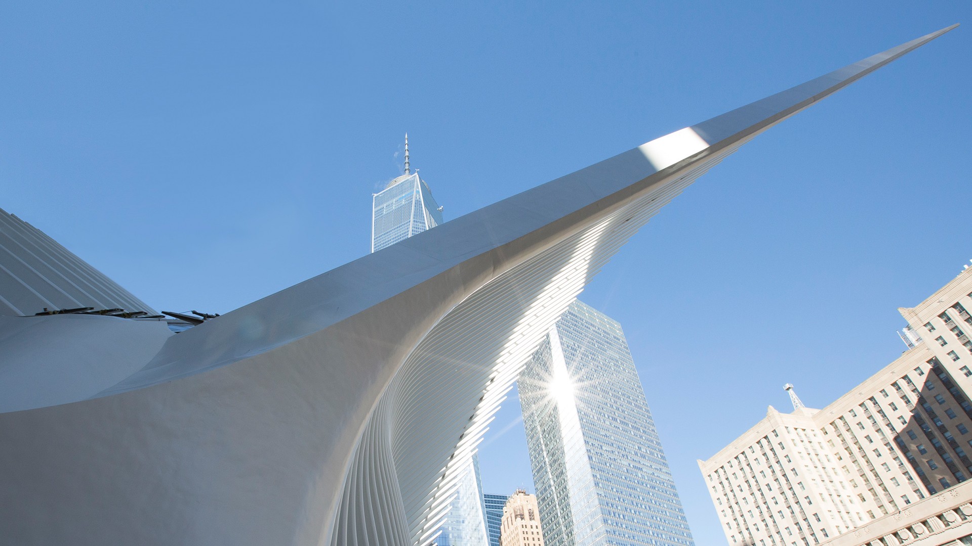 Oculus transportation hub with skyscrapers and clear blue sky in background.