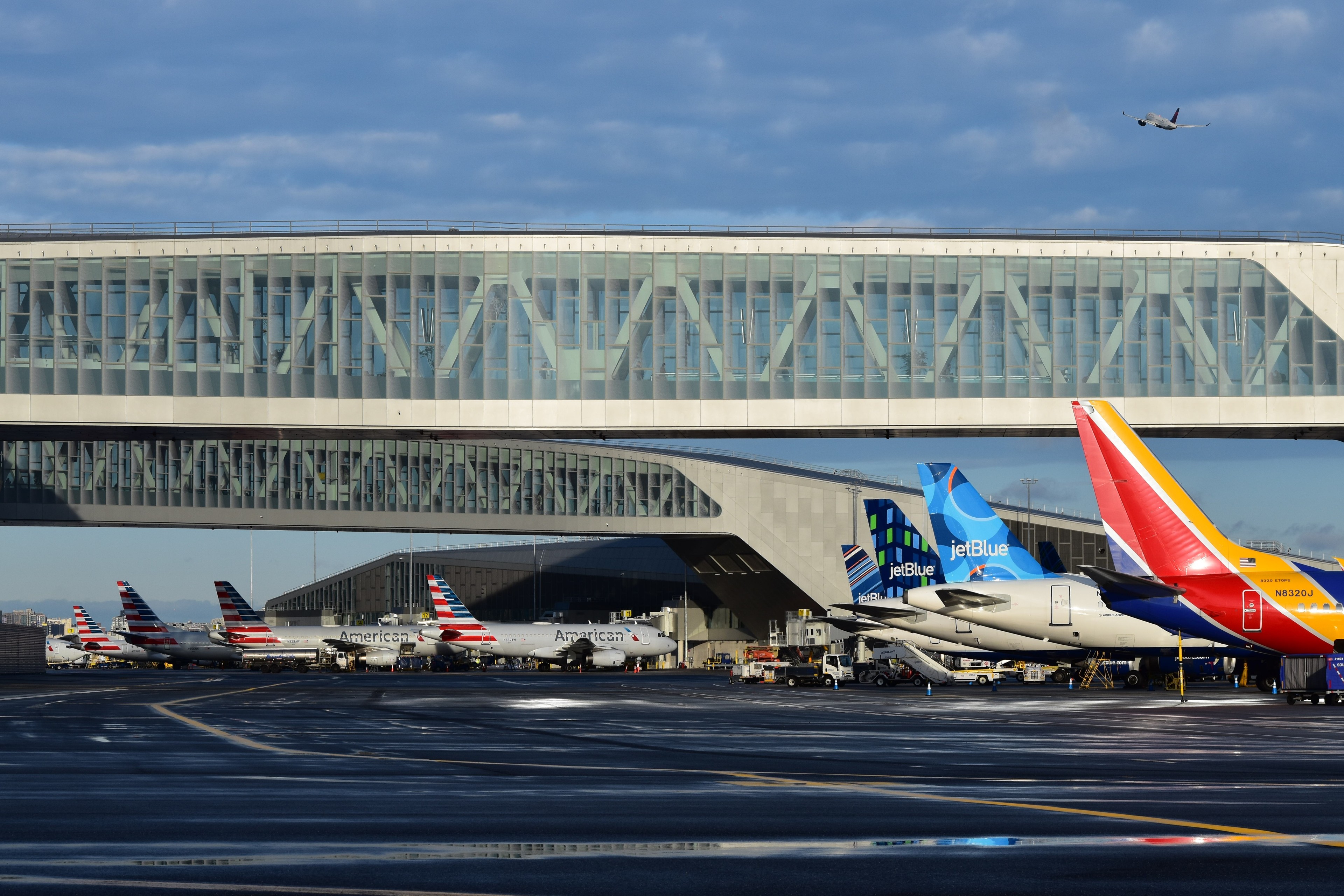 Terminal bridge with multiple JetBlue and American Airlines planes parked at airport.