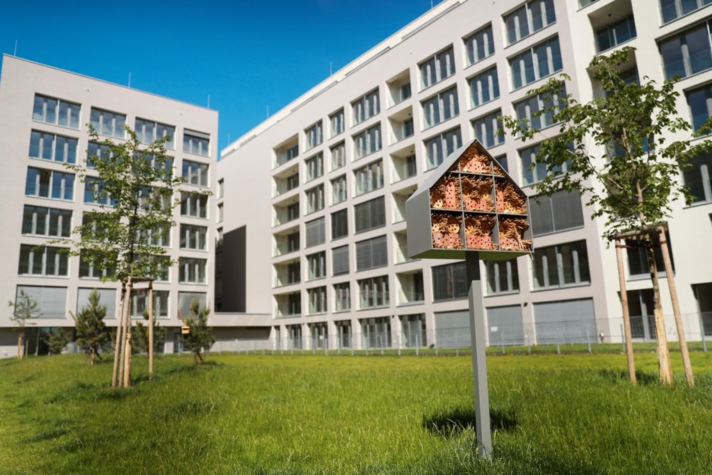 Moderní bytový dům s hotelem pro včely na travnatém nádvoří, obklopený mladými stromy.