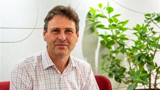 Professional Setting with Indoor Plants and Modern Decor A person in a plaid shirt sits on a red chair with green plants in the background.