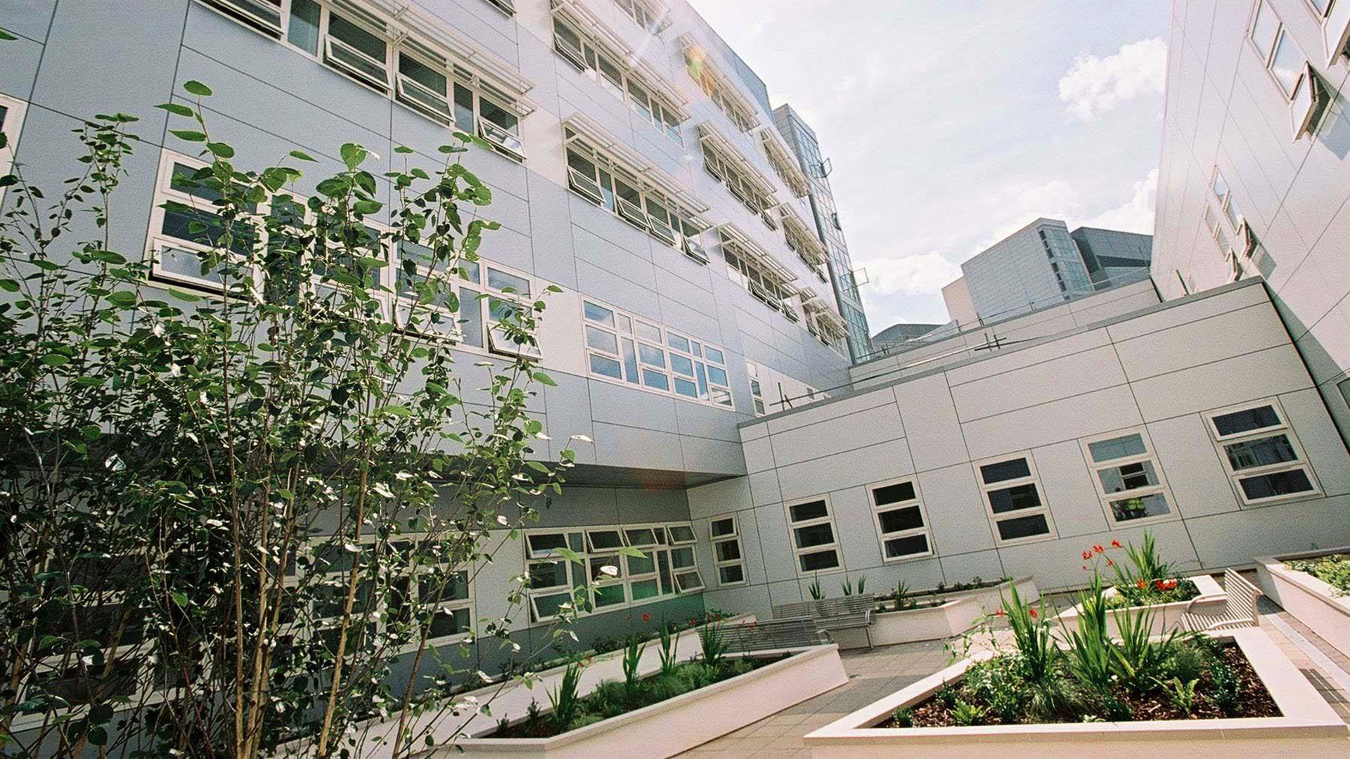 Modern building exterior with large windows and a landscaped courtyard under a clear blue sky.