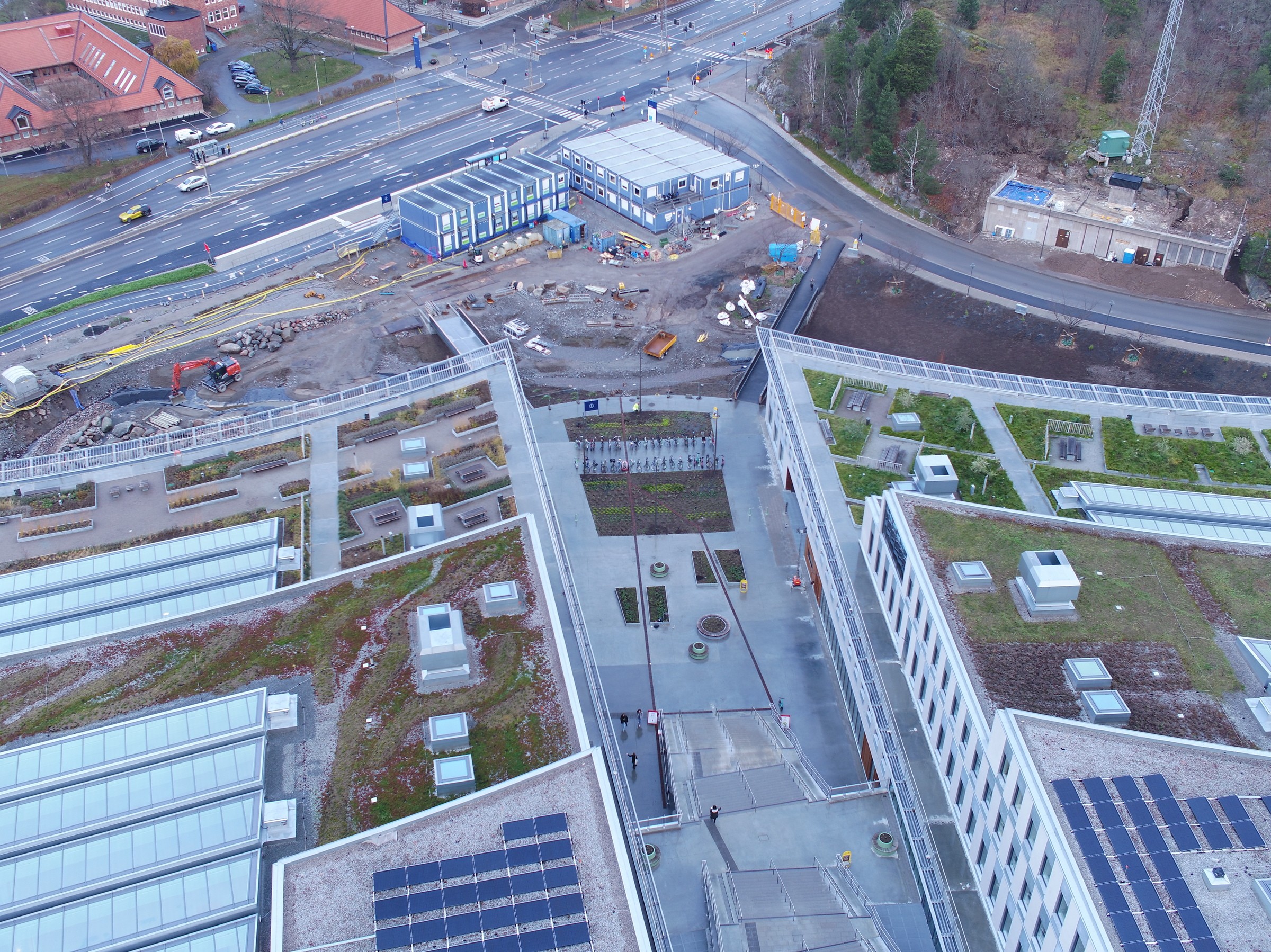 Green roofs strengthen biodiversity for insects and plants.