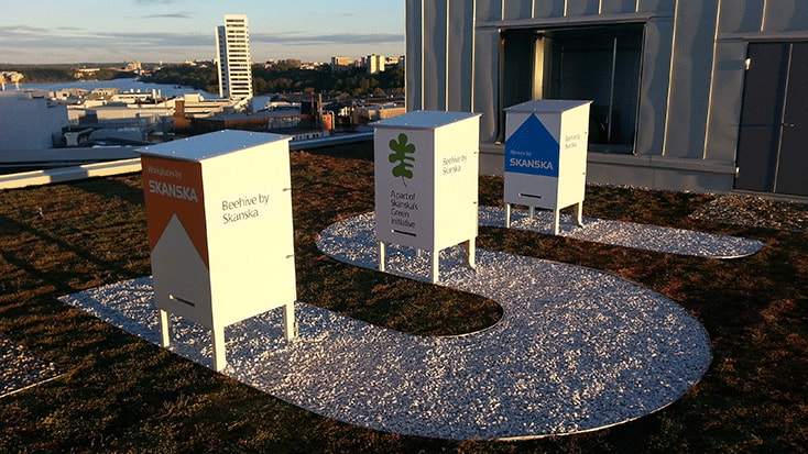 Rooftop beehives by Skanska showcasing urban sustainability and biodiversity initiatives.