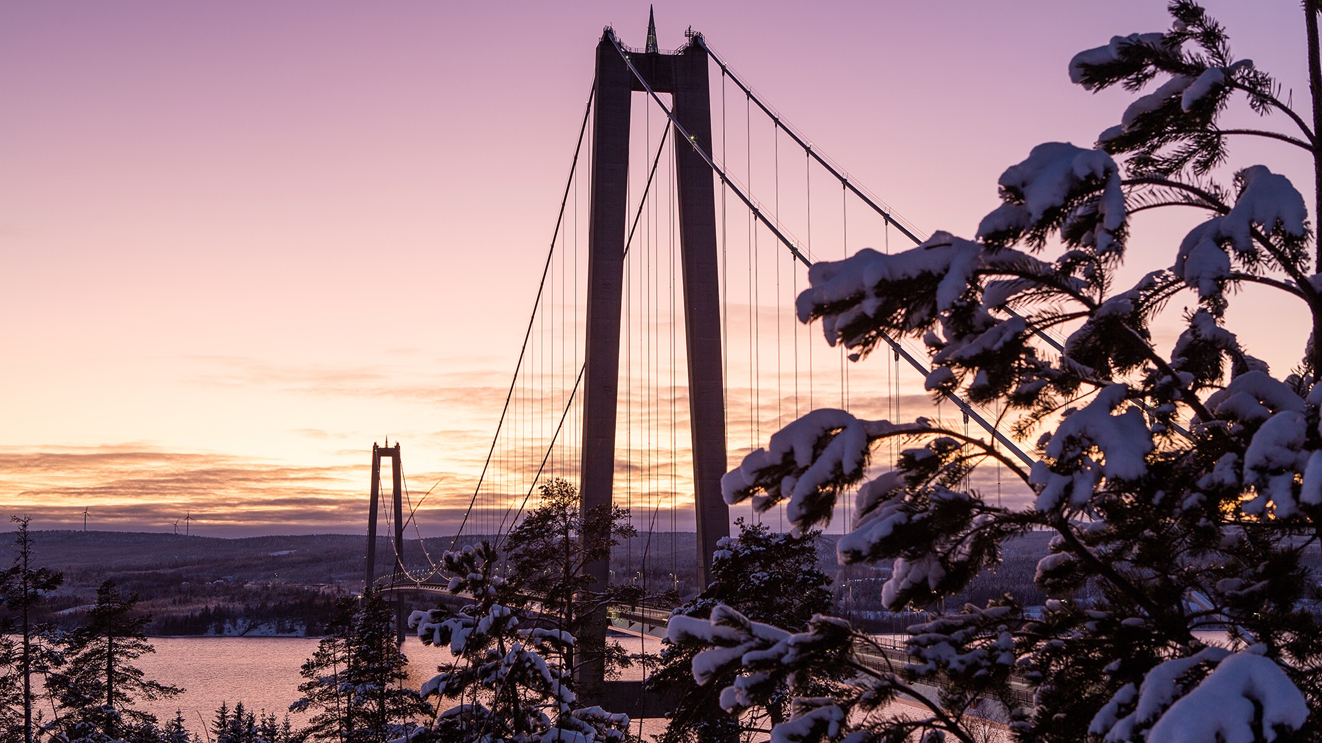 The reason why a suspension bridge was chosen is that the water depth in the Ångerman River is about 90 meters. Snow-covered trees frame a suspension bridge at sunrise, casting a serene winter landscape.
