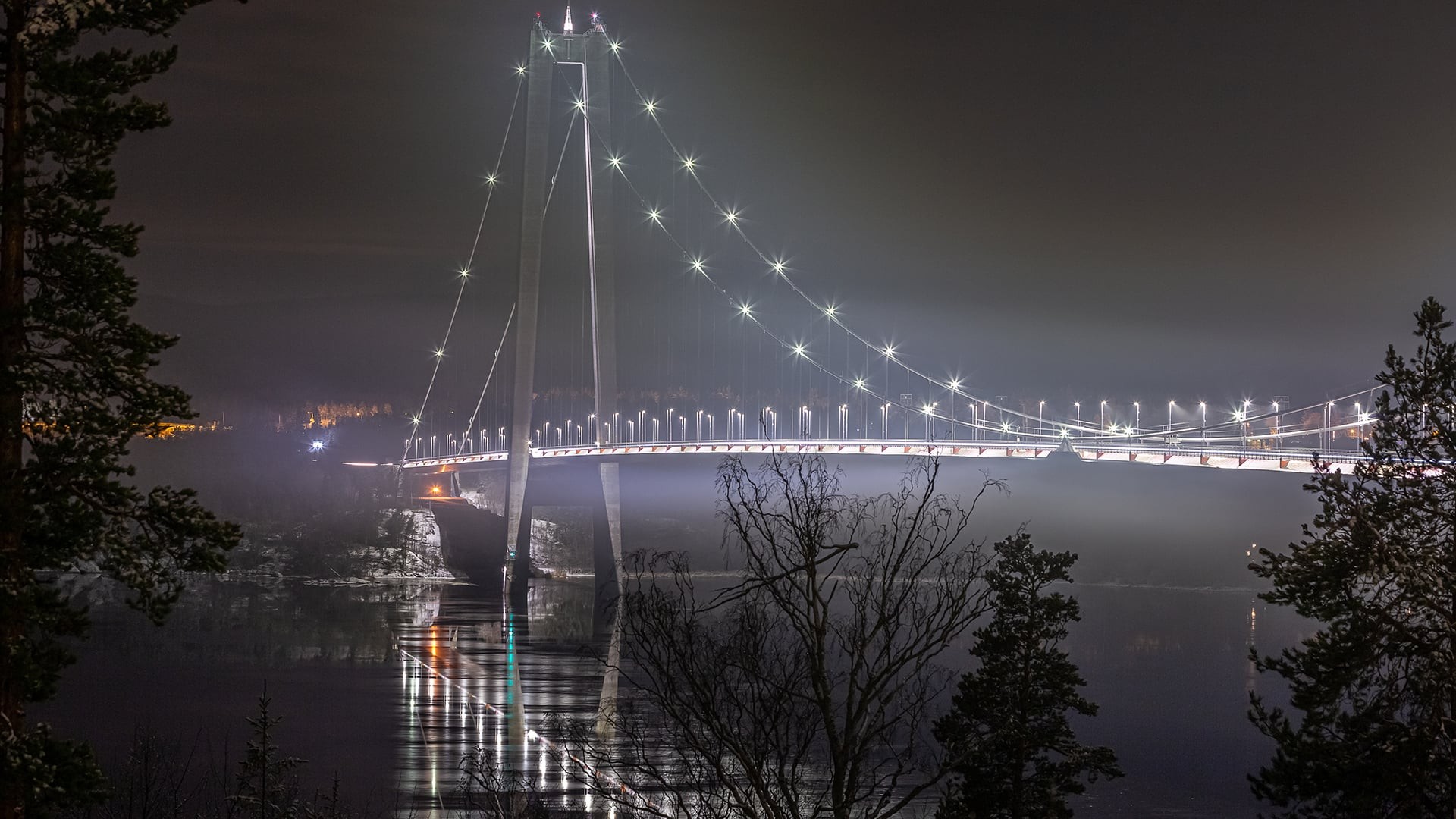 Puente colgante iluminado se extiende sobre un río brumoso en la noche, rodeado de árboles en silueta.
