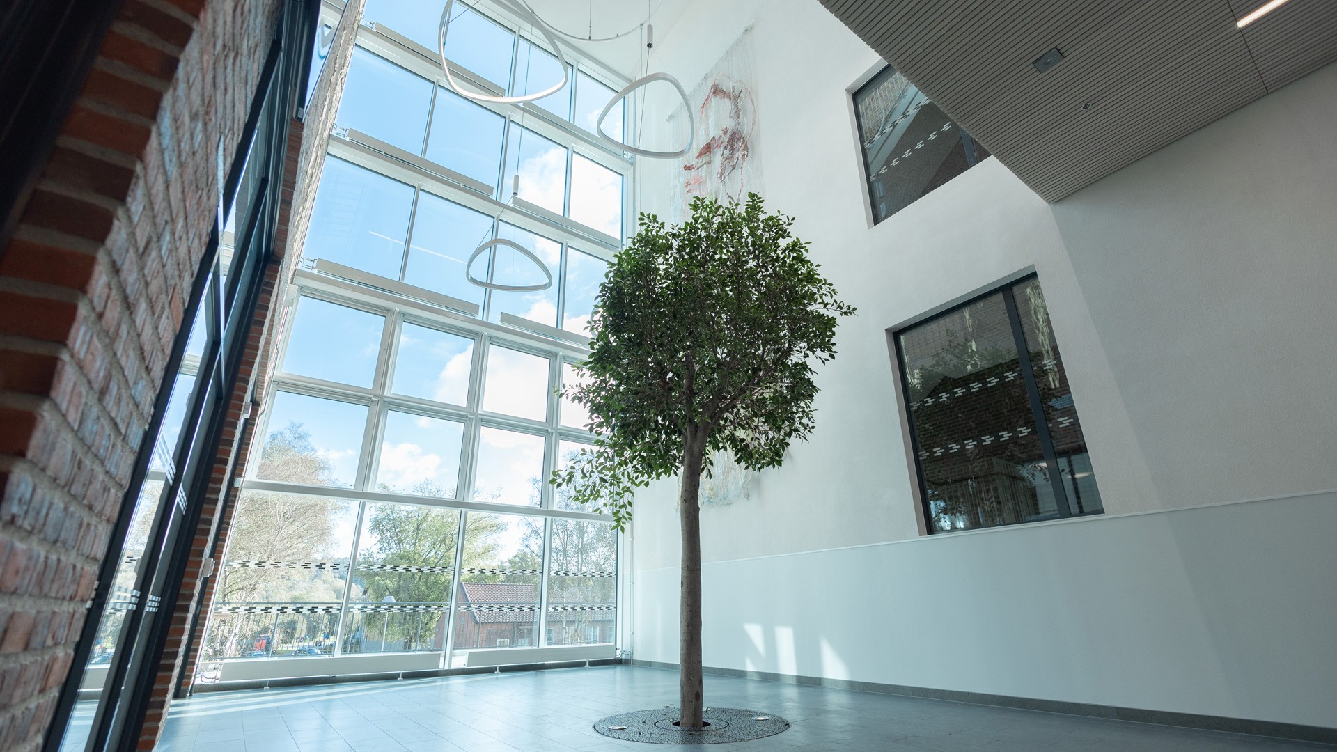 Modern atrium with large windows, ceiling lights, and a central indoor tree.