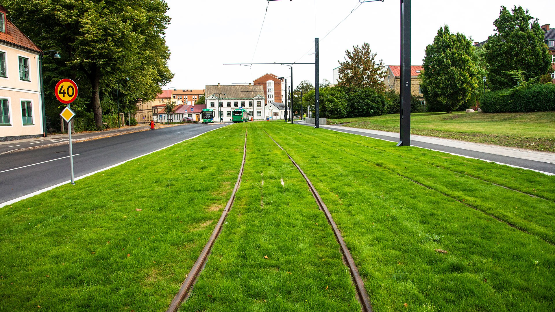 Grass-covered tram tracks alongside a road with a speed limit sign in a residential area.