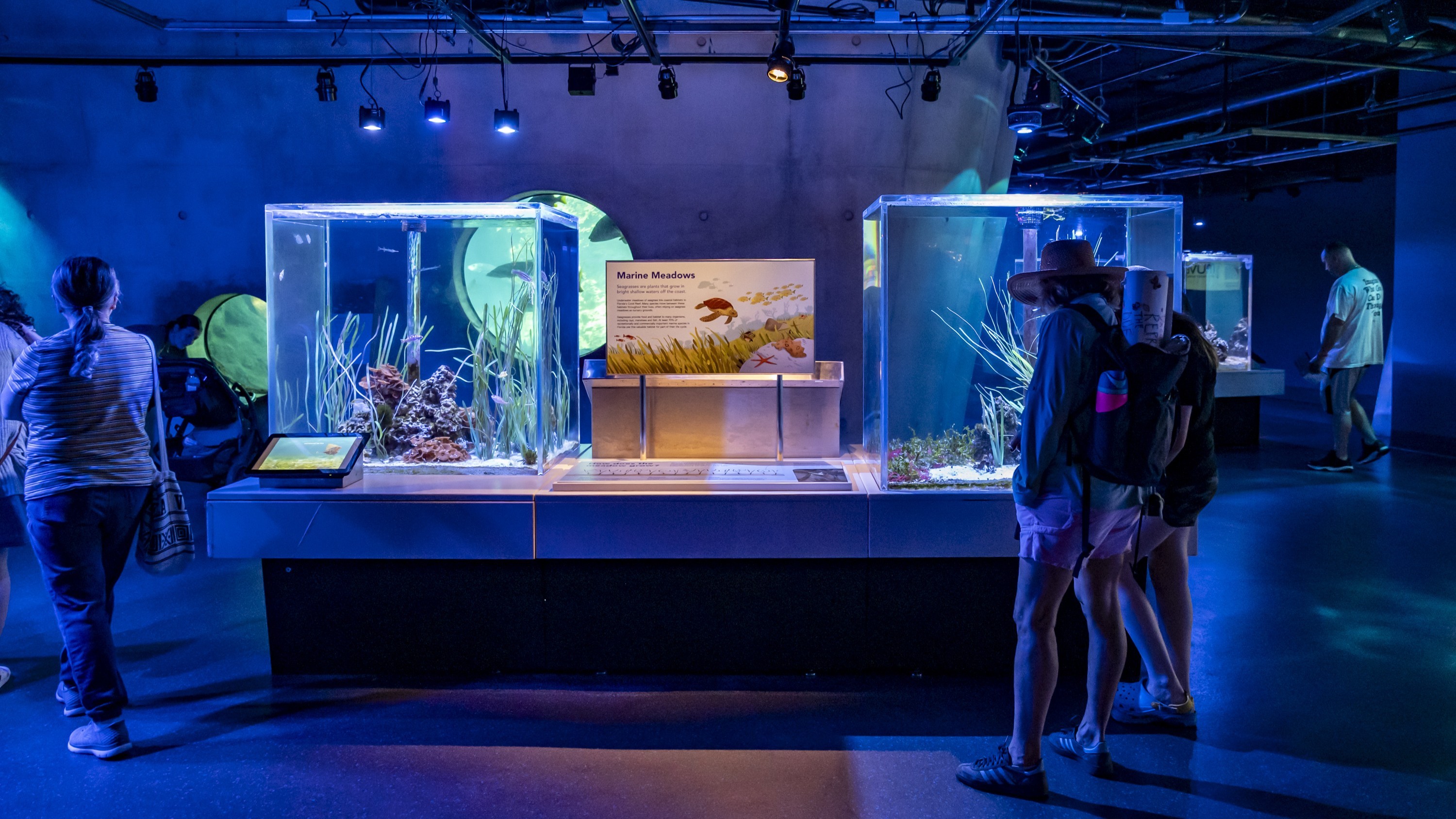 Visitors explore illuminated marine life tanks in an indoor aquarium exhibit.