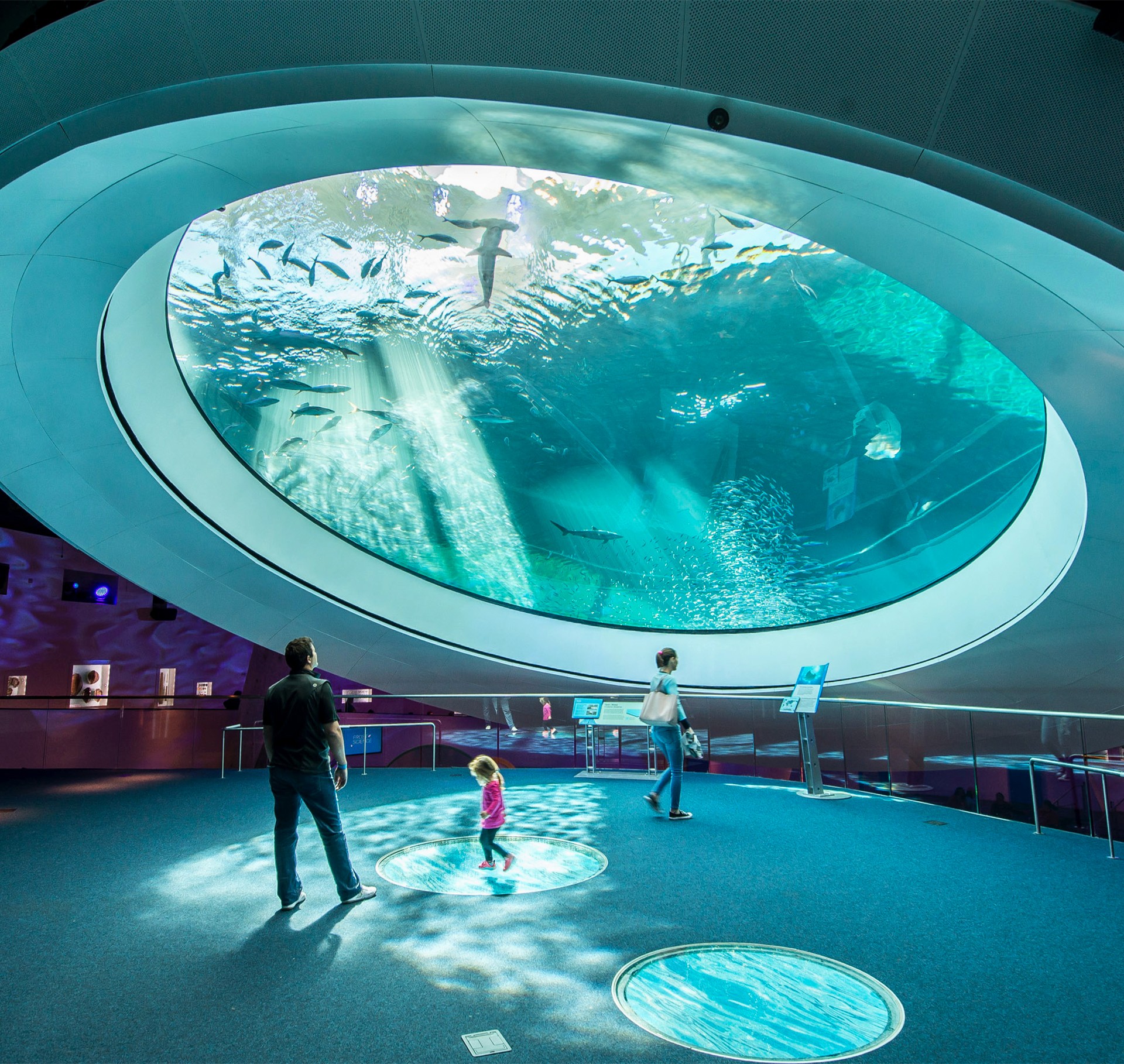 Aquarium Tunnel with Visitors and Sunlight Reflections Visitors observe marine life through a large circular aquarium window in an underwater exhibit.