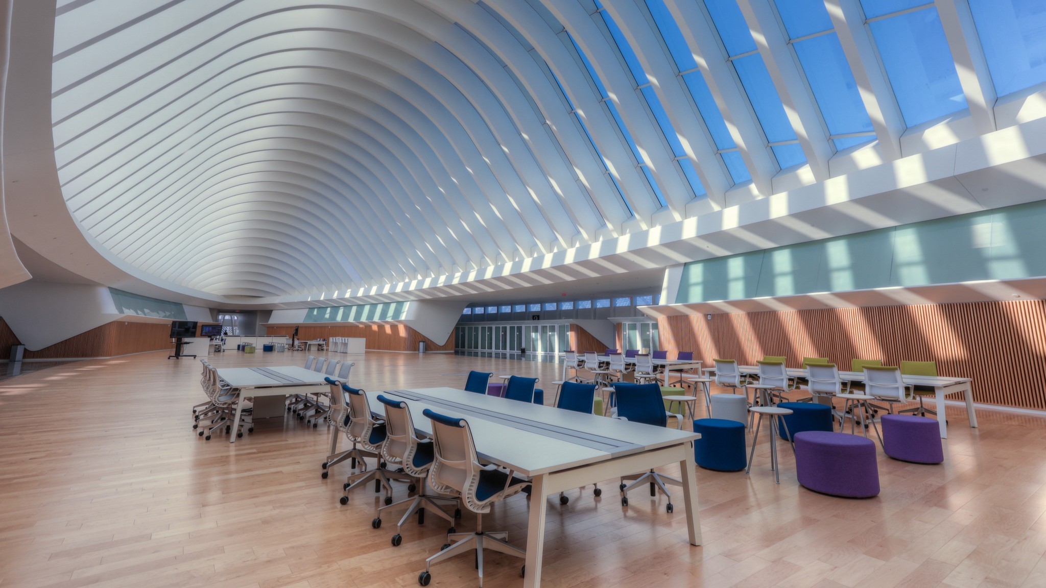 Spacious modern office with curved ceiling, natural light, and multiple workstations.