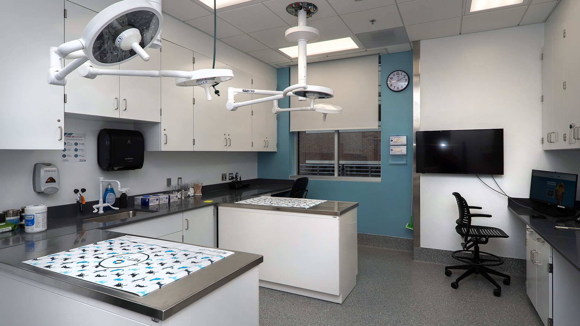 Modern veterinary exam room with surgical lights, stainless steel tables, and medical equipment.