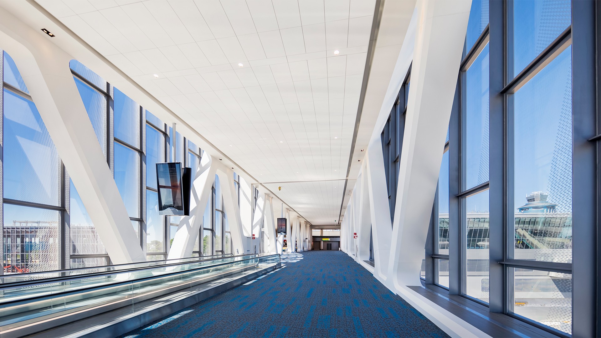 Bright airport terminal corridor with large windows, escalator, and blue carpet.