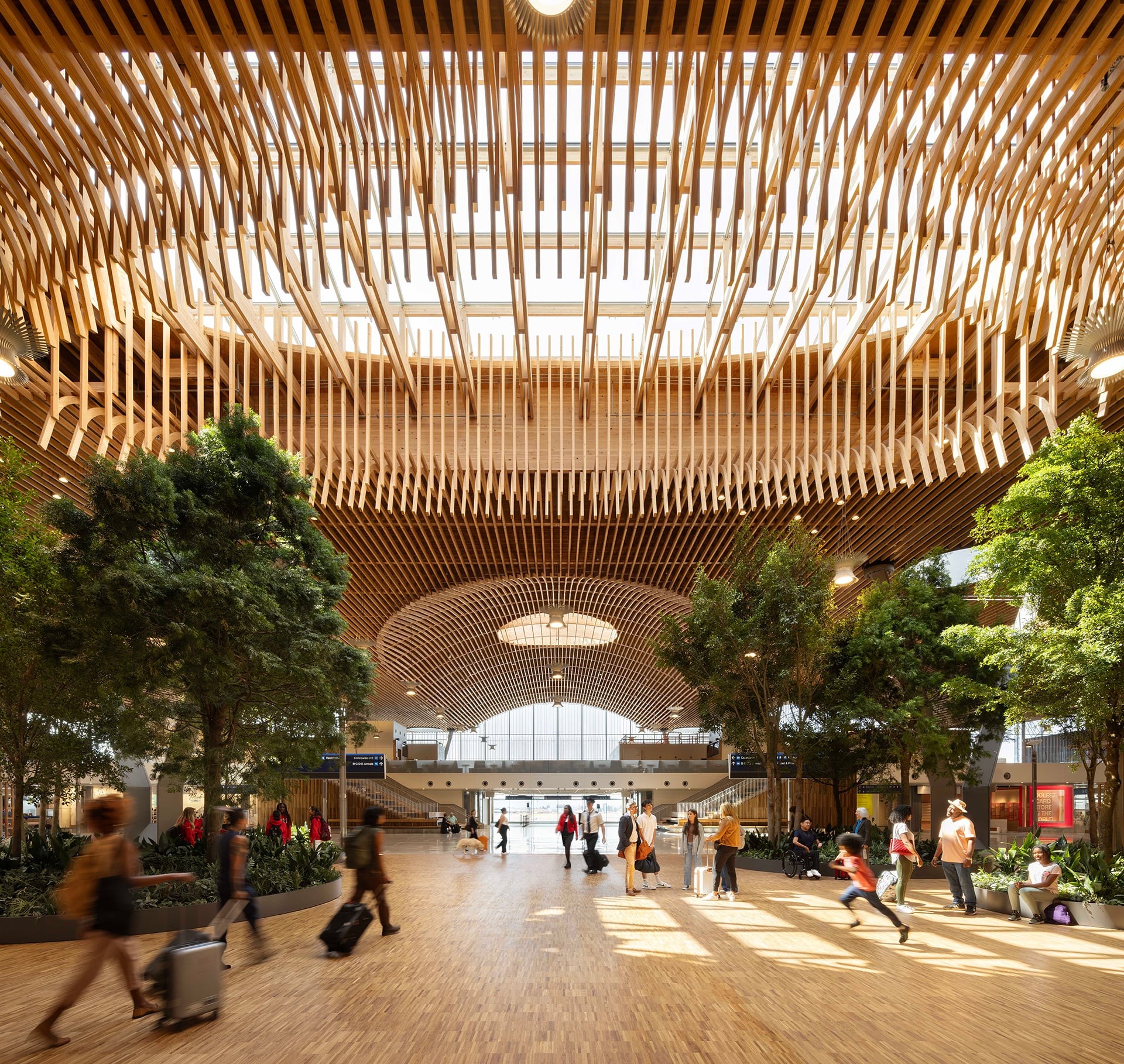Modern Airport Terminal with Wooden Ceiling and Indoor Trees Spacious modern airport terminal with wooden ceiling, indoor trees, and travelers walking.
