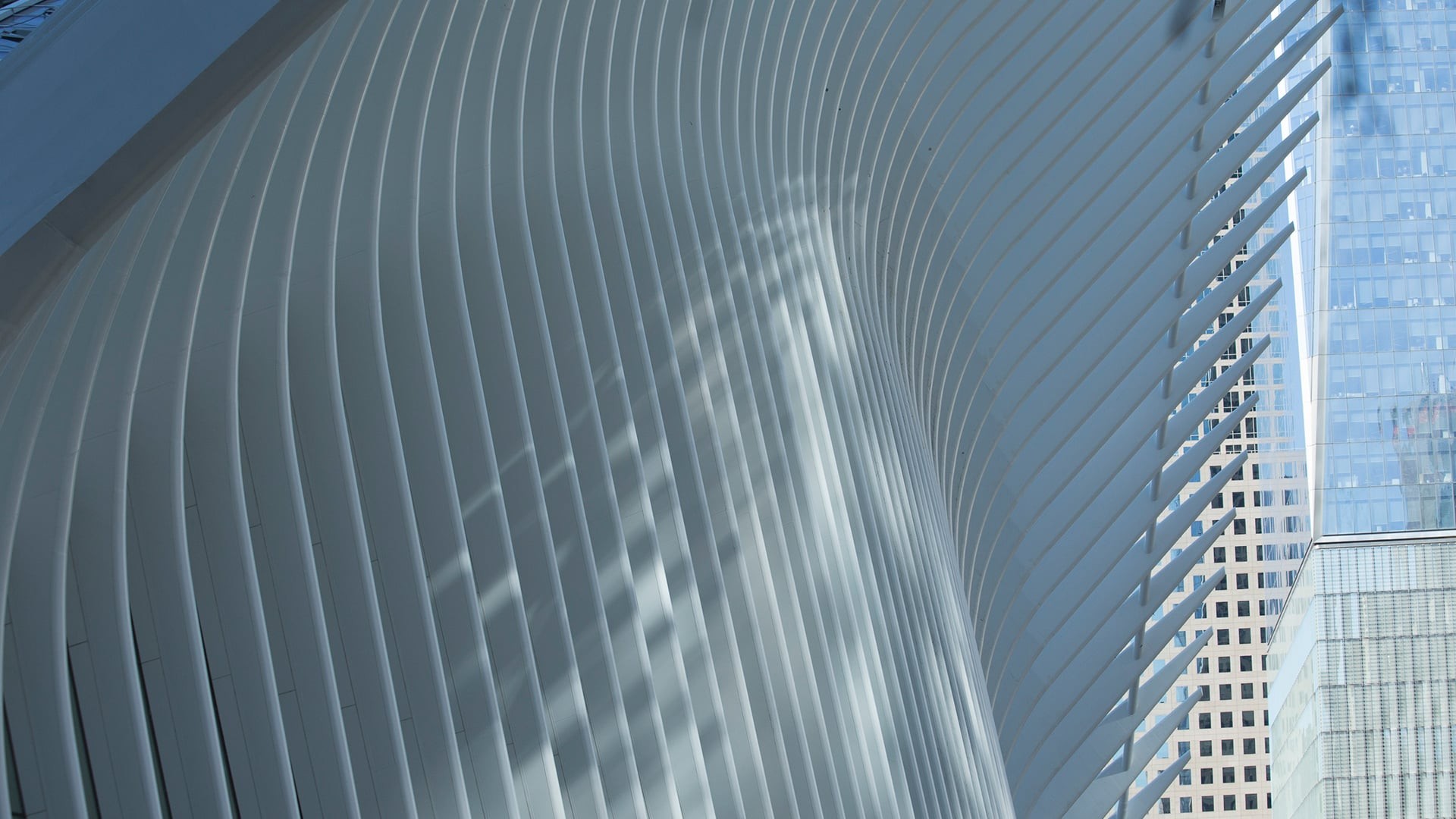 Modern architectural structure with curved white beams and glass skyscrapers in background.