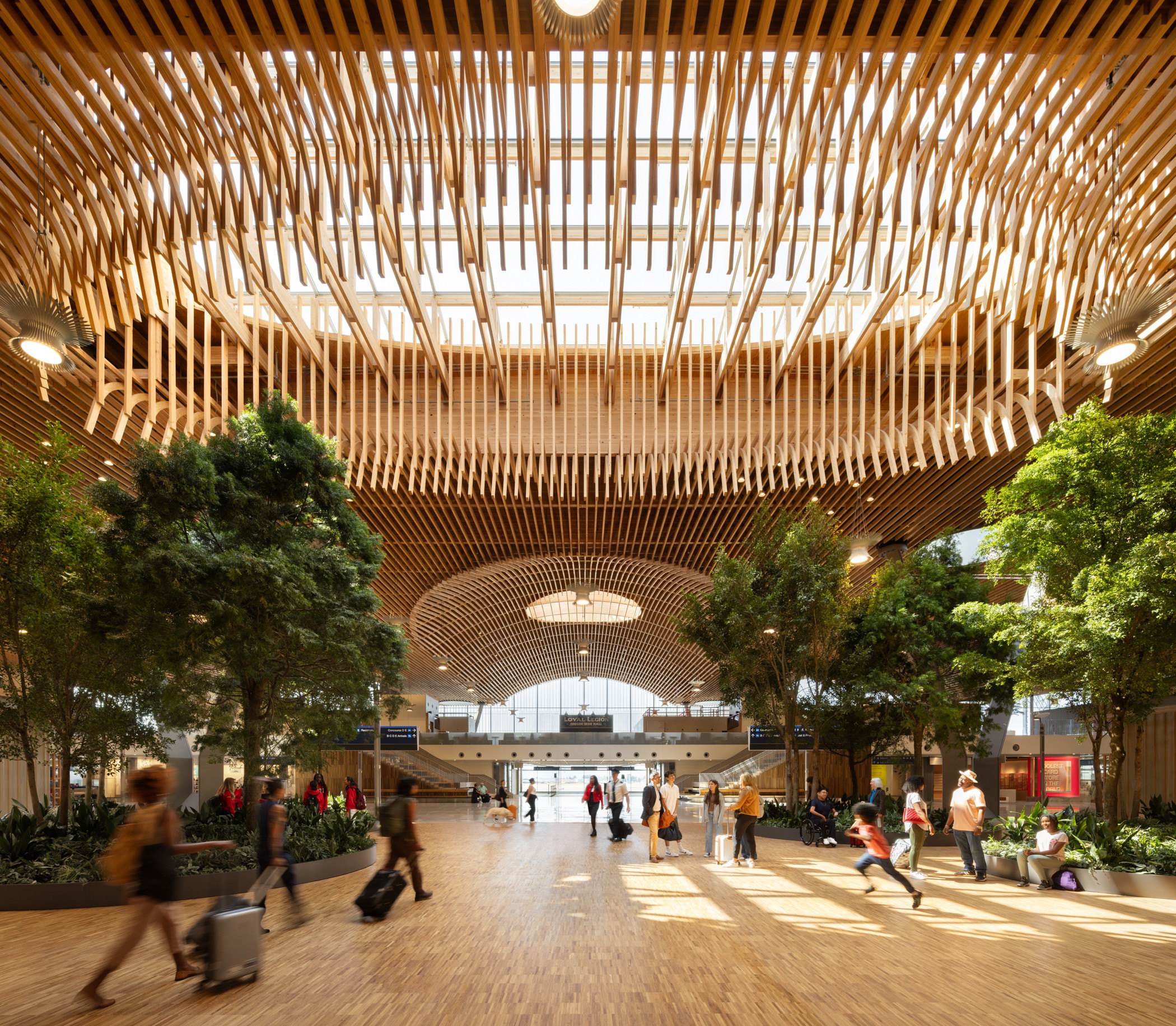 Spacious airport terminal with a wooden ceiling, lush greenery, and travelers moving through.