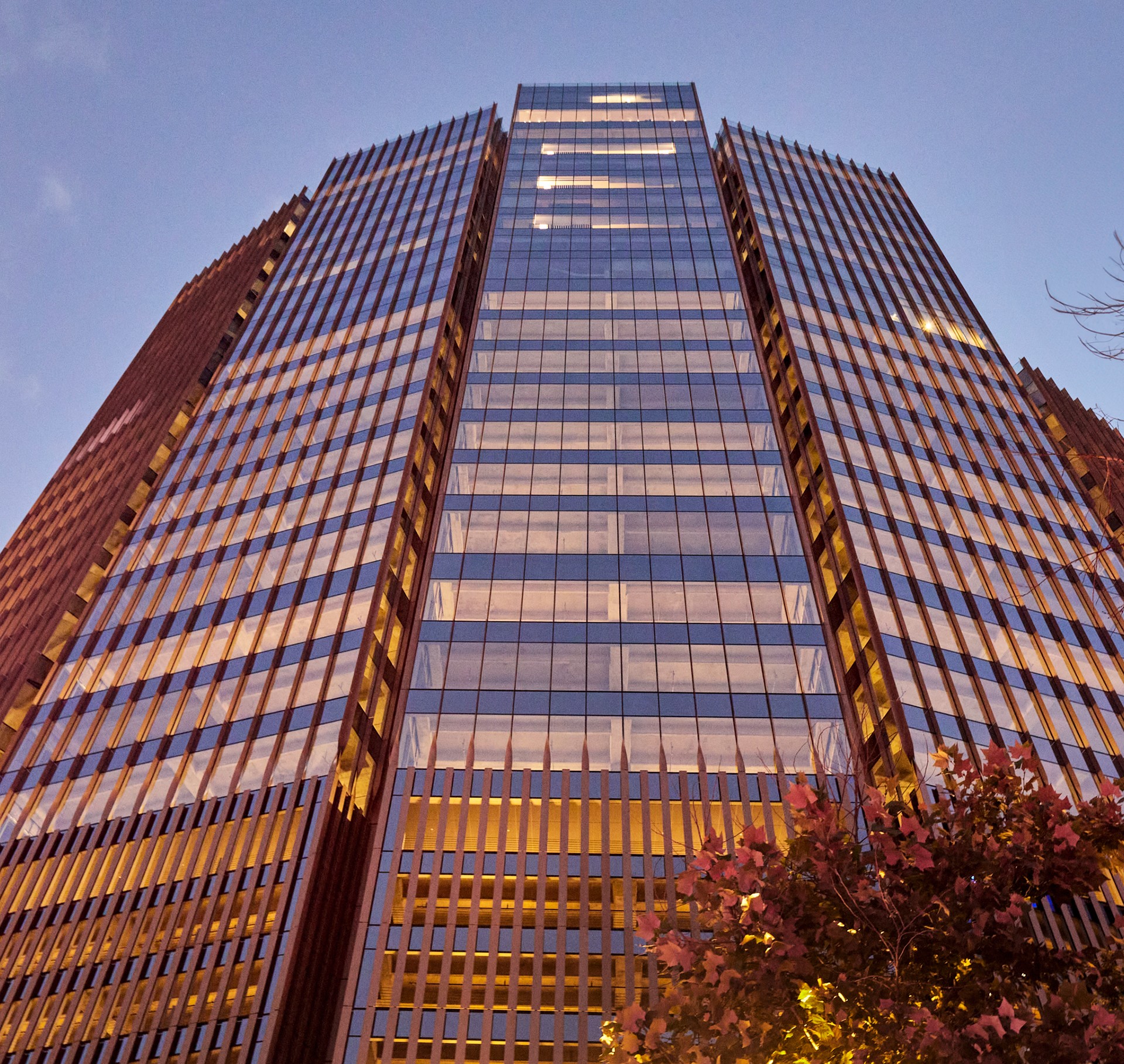 Modern Glass Office Building at Dusk with Reflections NRFT tower office building with reflective windows at dusk, framed by trees.