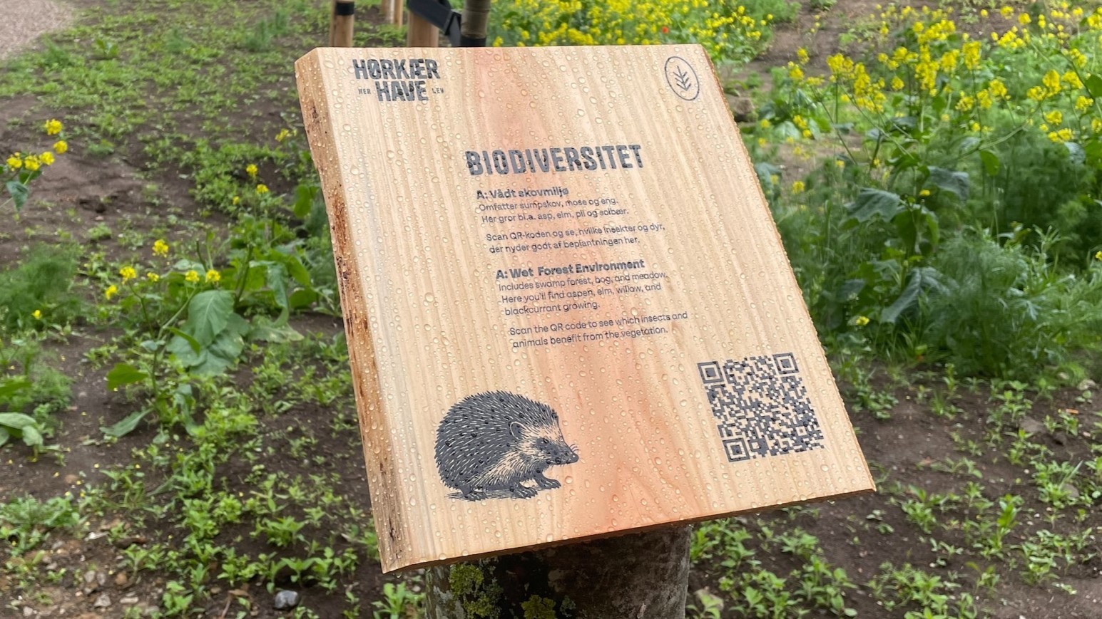 A wooden biodiversity sign on a tree stump in a vibrant garden with yellow flowers and play area.