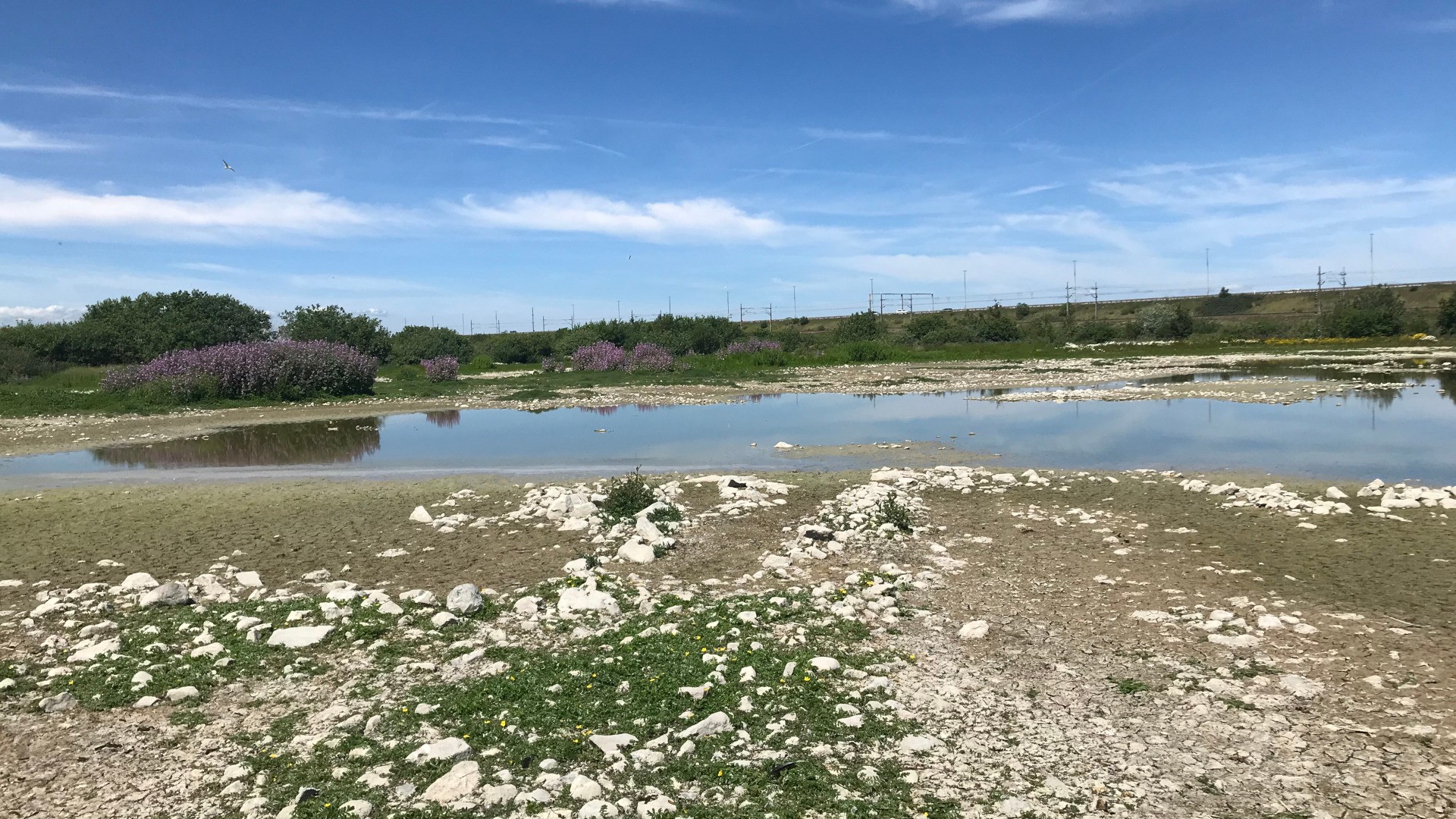 Scenisk utsikt över en stenig kustlinje med lugnt vatten, frodig grönska och en klar blå himmel i bakgrunden.
