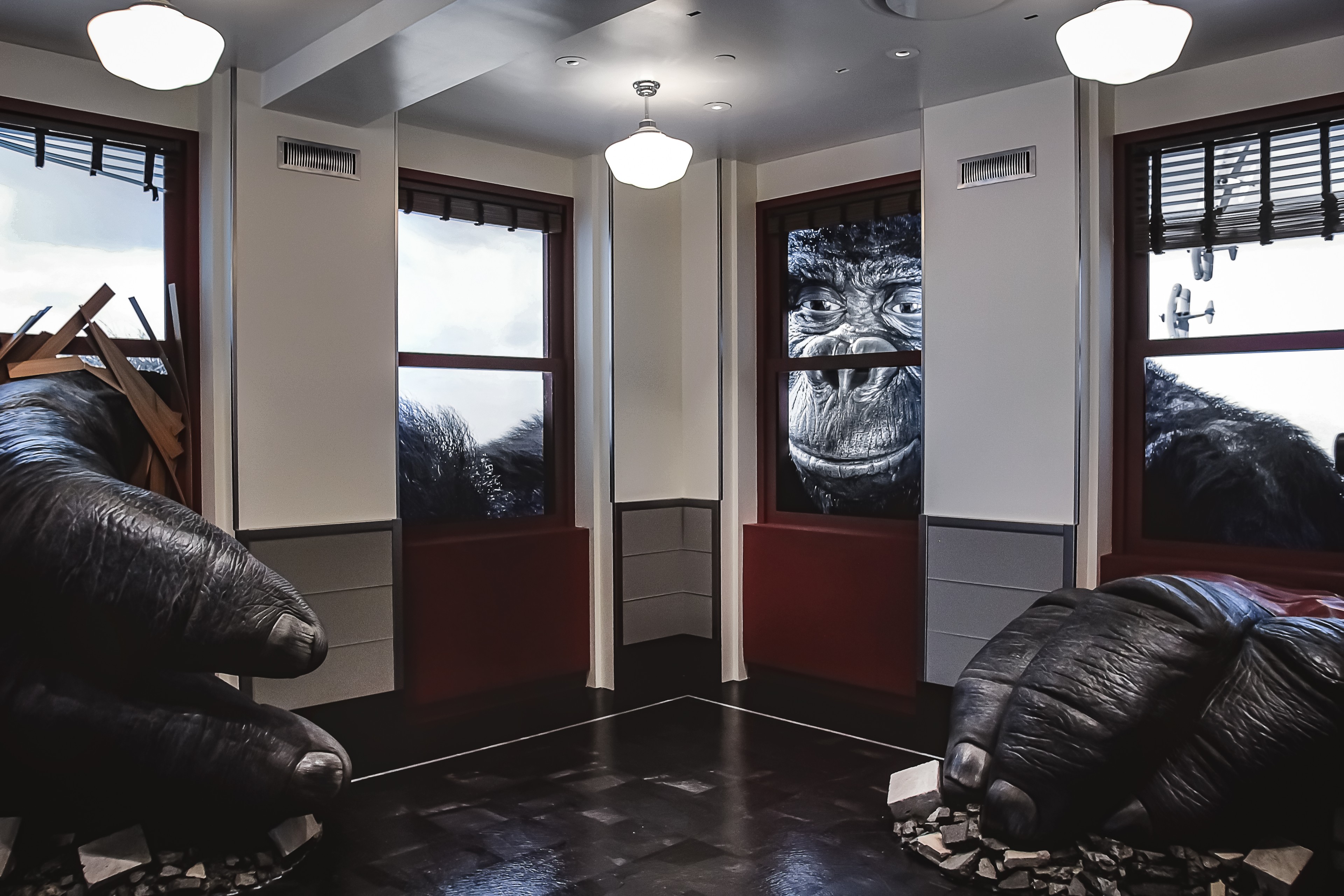 Large gorilla sculptures and face visible through windows in a modern room interior.