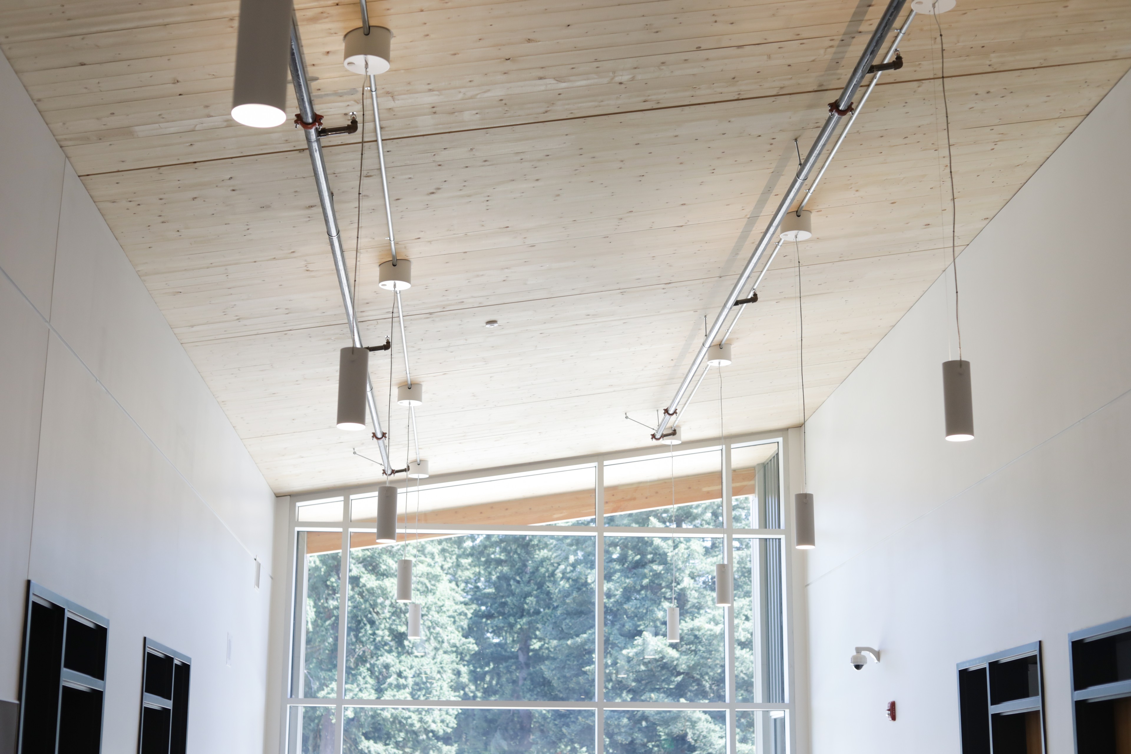 Modern ceiling lights with wooden panels and large windows showing green trees.