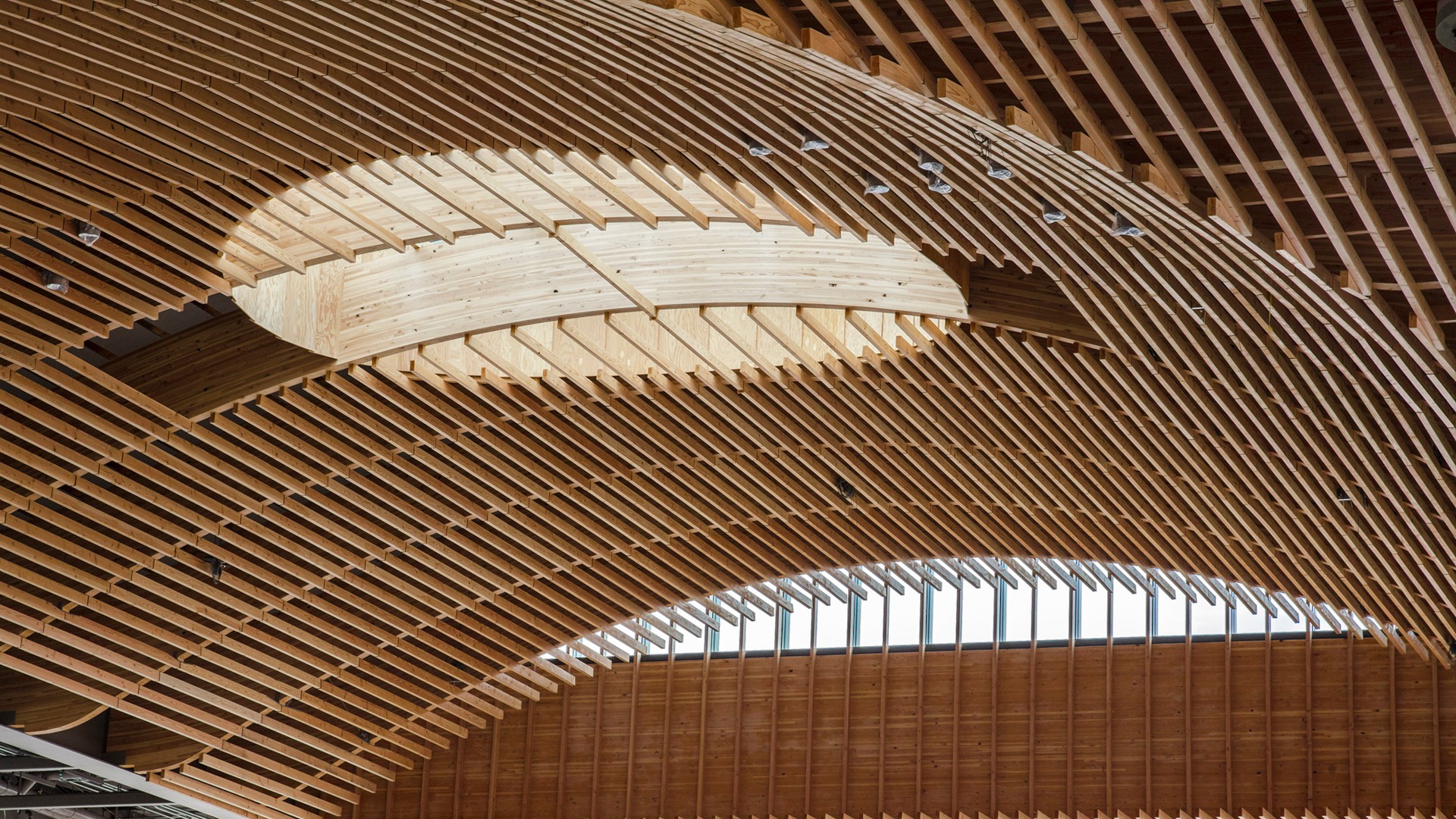 Modern architectural ceiling with wooden slats creating a dynamic wave pattern and skylight.