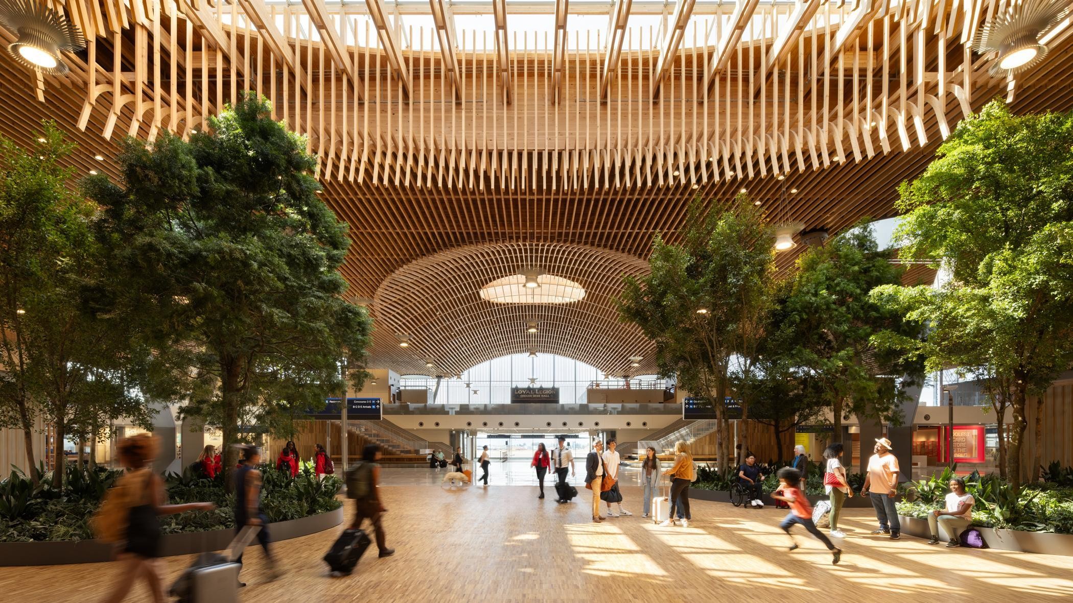 Spacious airport terminal with natural light, wooden ceiling, indoor trees, and travelers moving.