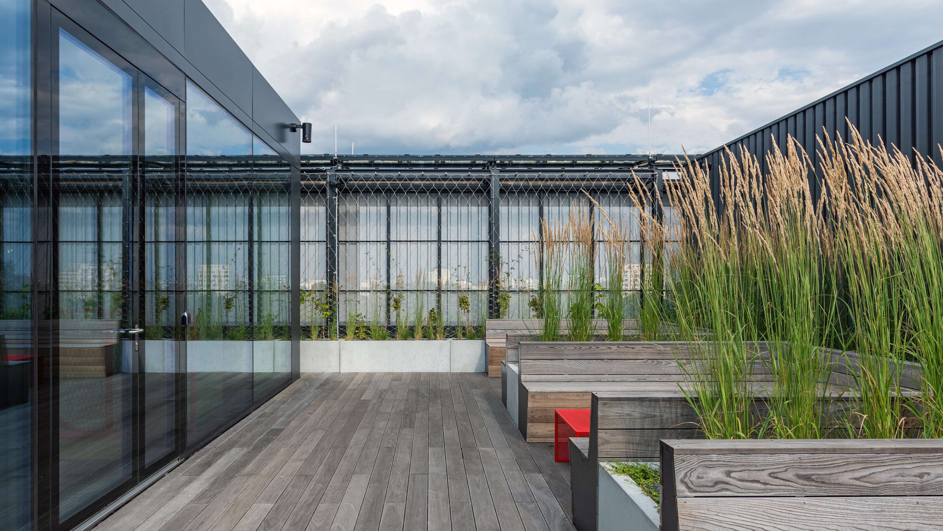 Modern rooftop terrace with wooden decking, glass walls, and planters filled with tall grasses.