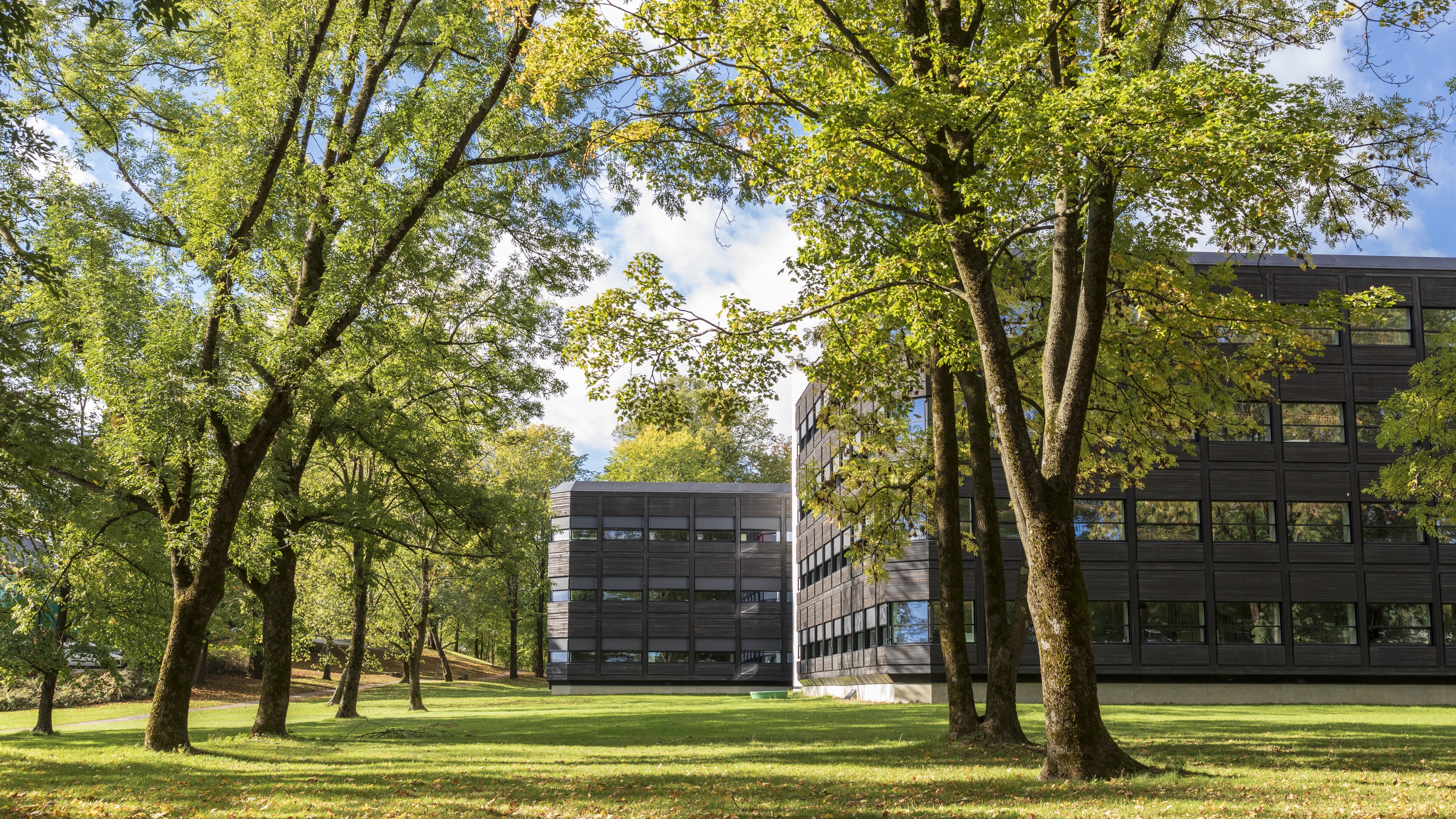 Modern buildings surrounded by lush green trees under a bright blue sky.
