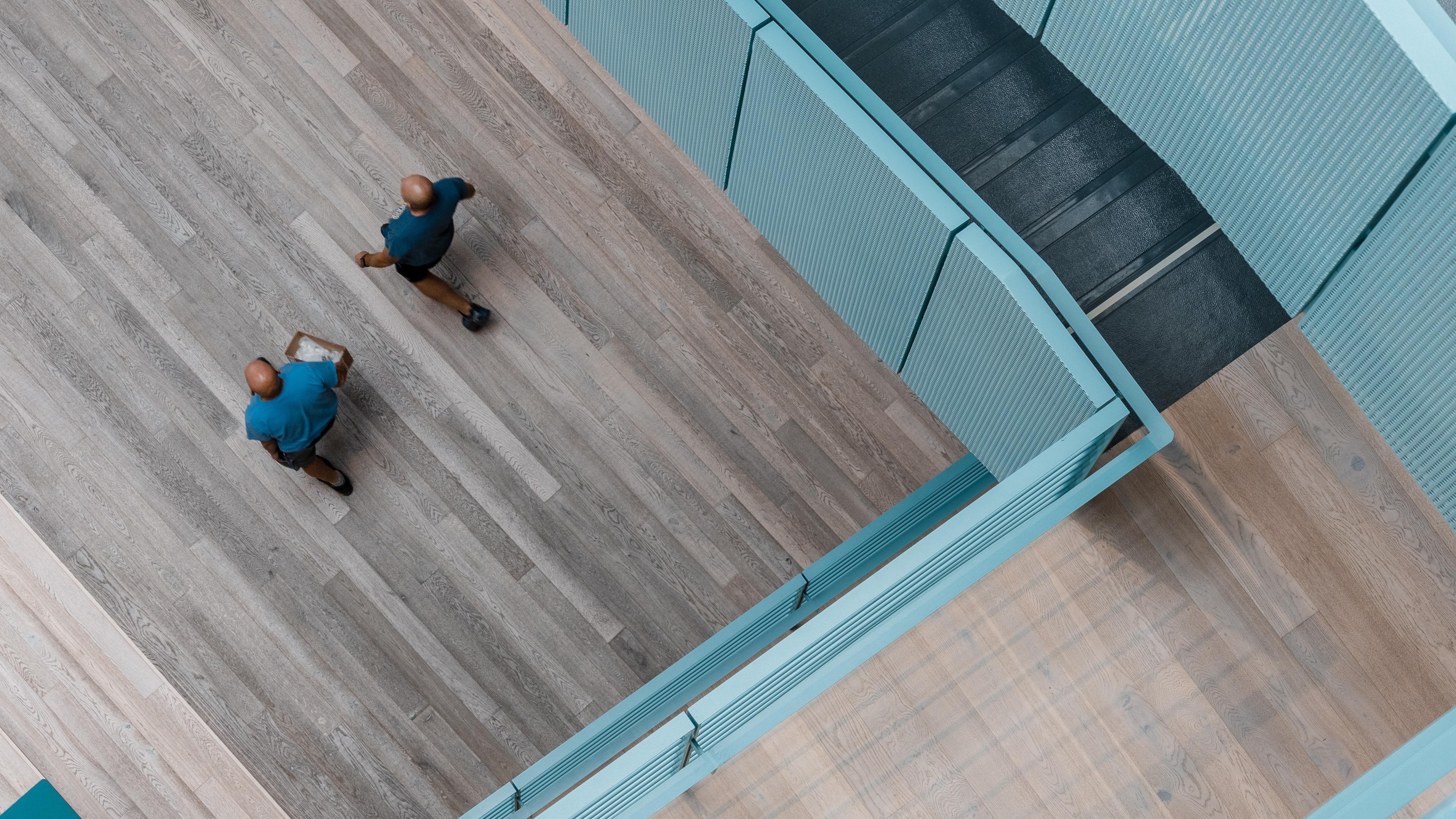 Modern stålbalkstruktur med takfönster under en blå himmel, som visar arkitektonisk design.