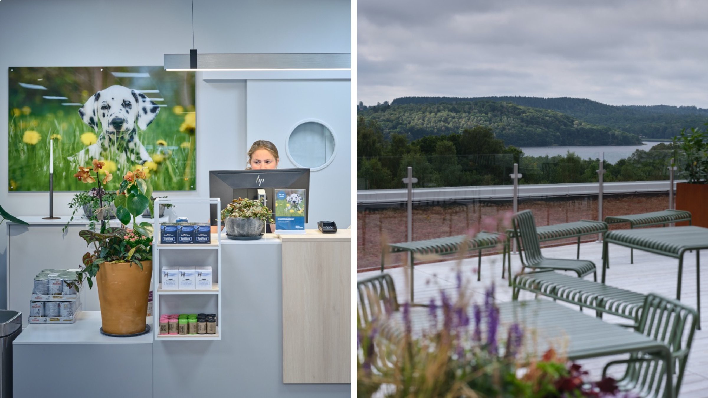 Husdjurklinikens interiör och naturskön utomhus sittområde Veterinärklinikens interiör med husdjursartiklar och en utomhuspatio med utsikt över ett naturskönt landskap.