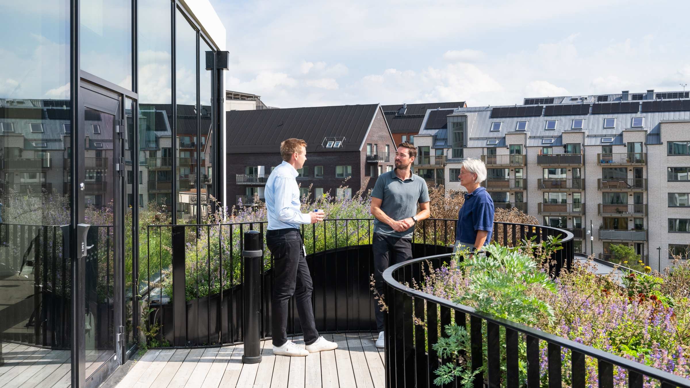 Tre män som har ett samtal på en takterrass med växter och stadens byggnader.