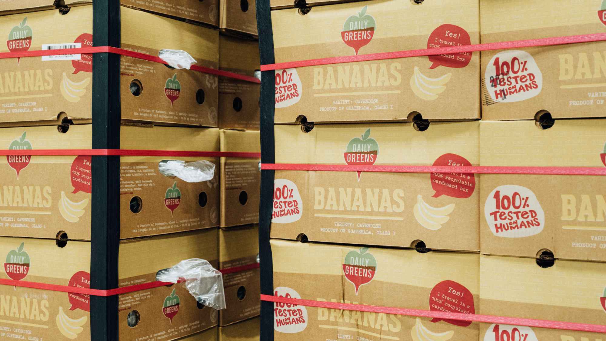 Banankartonger staplade för frakt - Daily Greens varumärke Staplar av bruna lådor märkta "Daily Greens Bananas" säkrade med röda band.