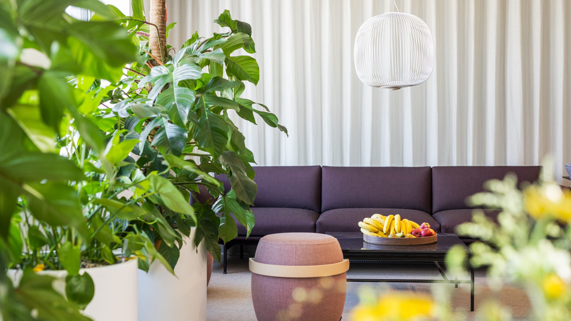 Elegant modern lounge med växter och fruktdekor Modern vardagsrum med frodiga växter, lila soffa, fruktskål och vit hängande lamparmatur.