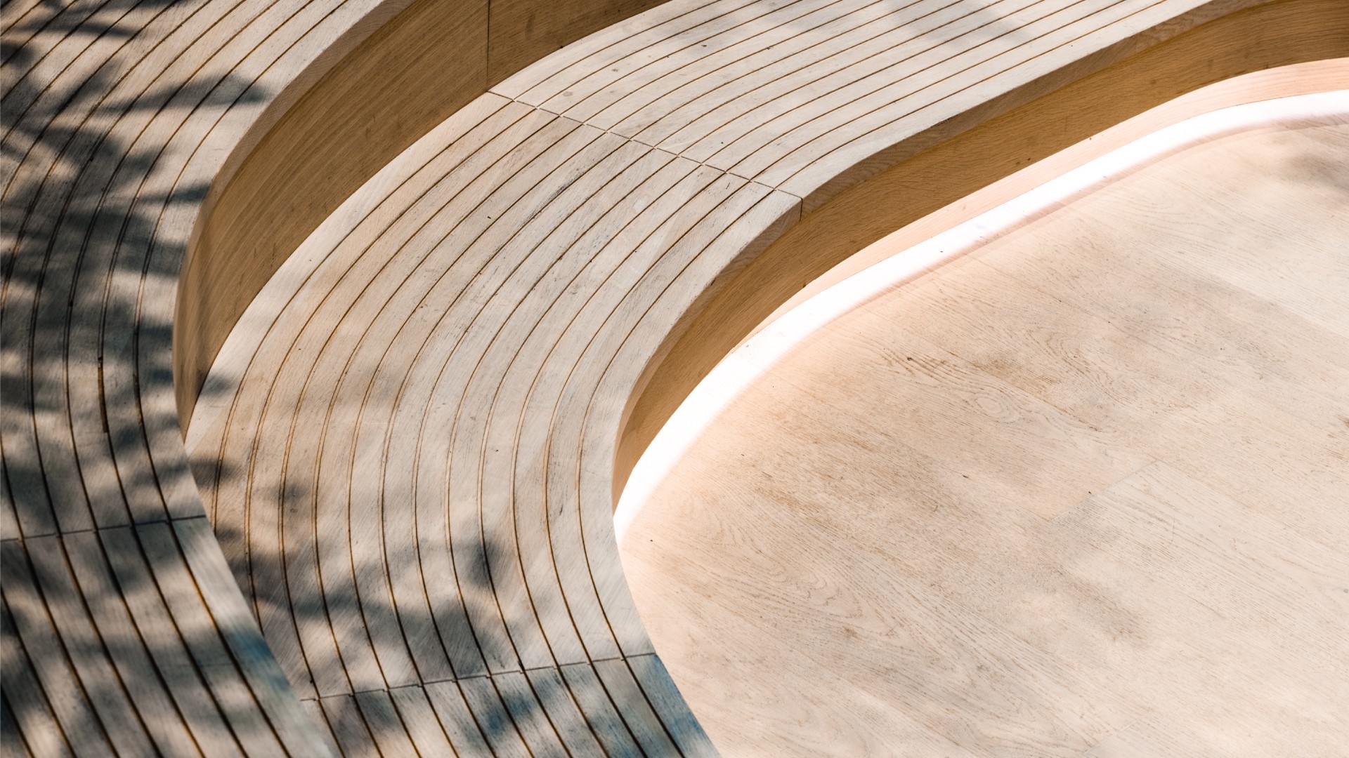 Curved wooden bench with clean lines and soft shadows in natural light.