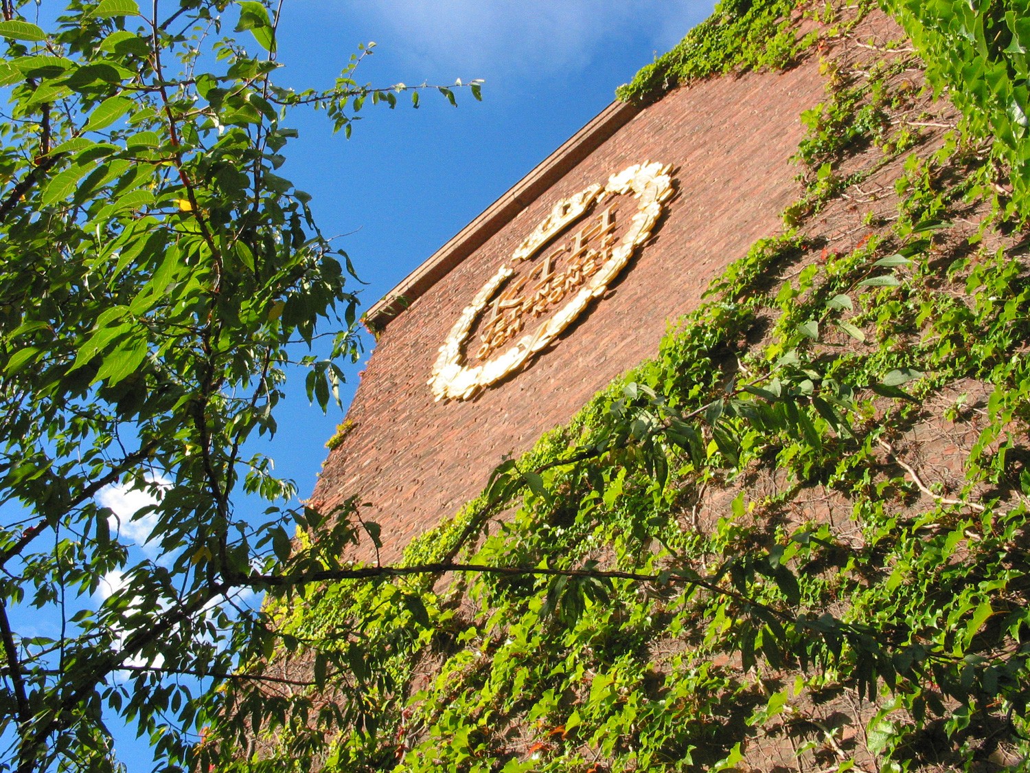 Foto: KTH Murad vägg täckt av murgröna med en dekorativ cirkulär emblem under en klar blå himmel.
