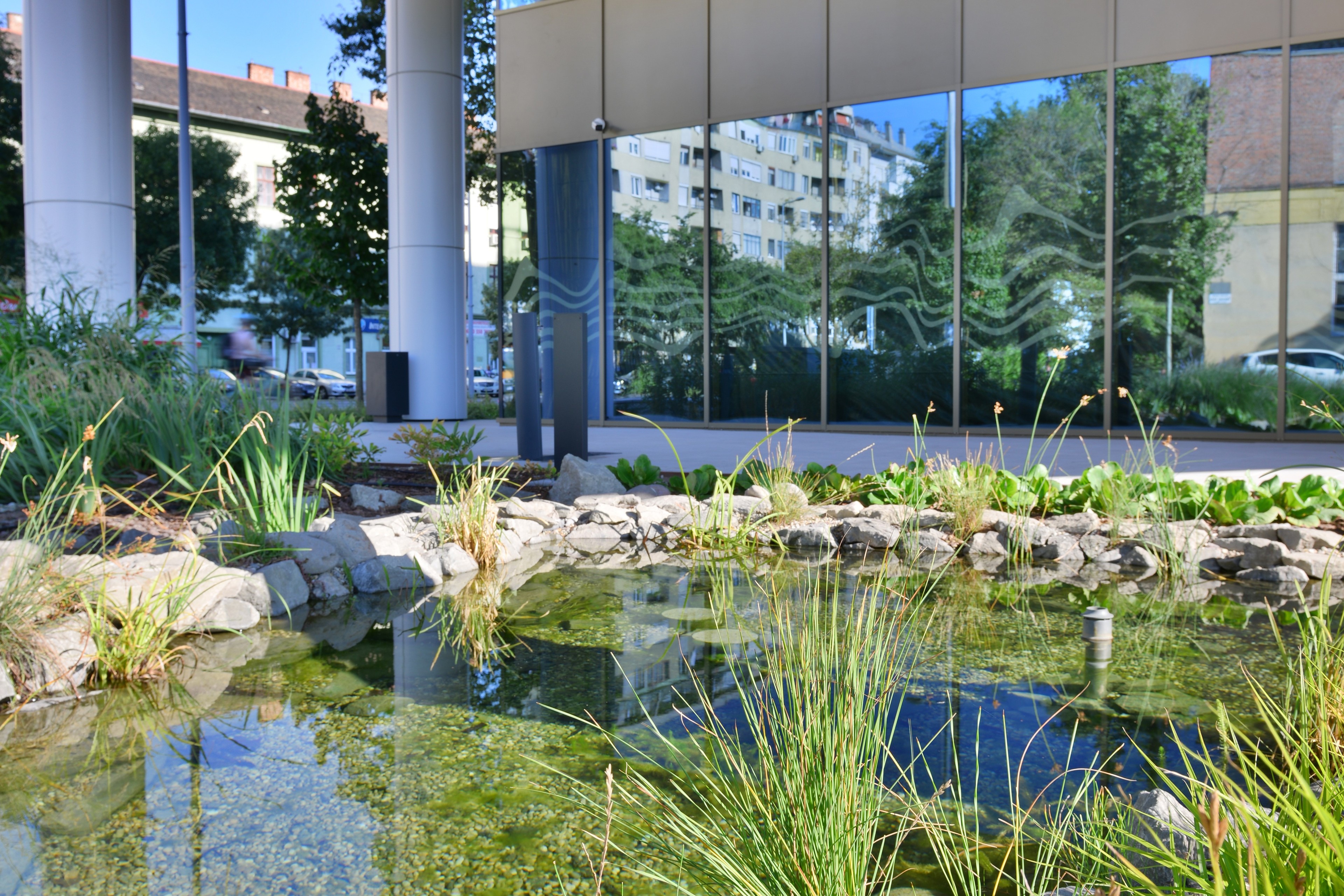Modern building with glass facade reflecting a landscaped pond surrounded by greenery and rocks.