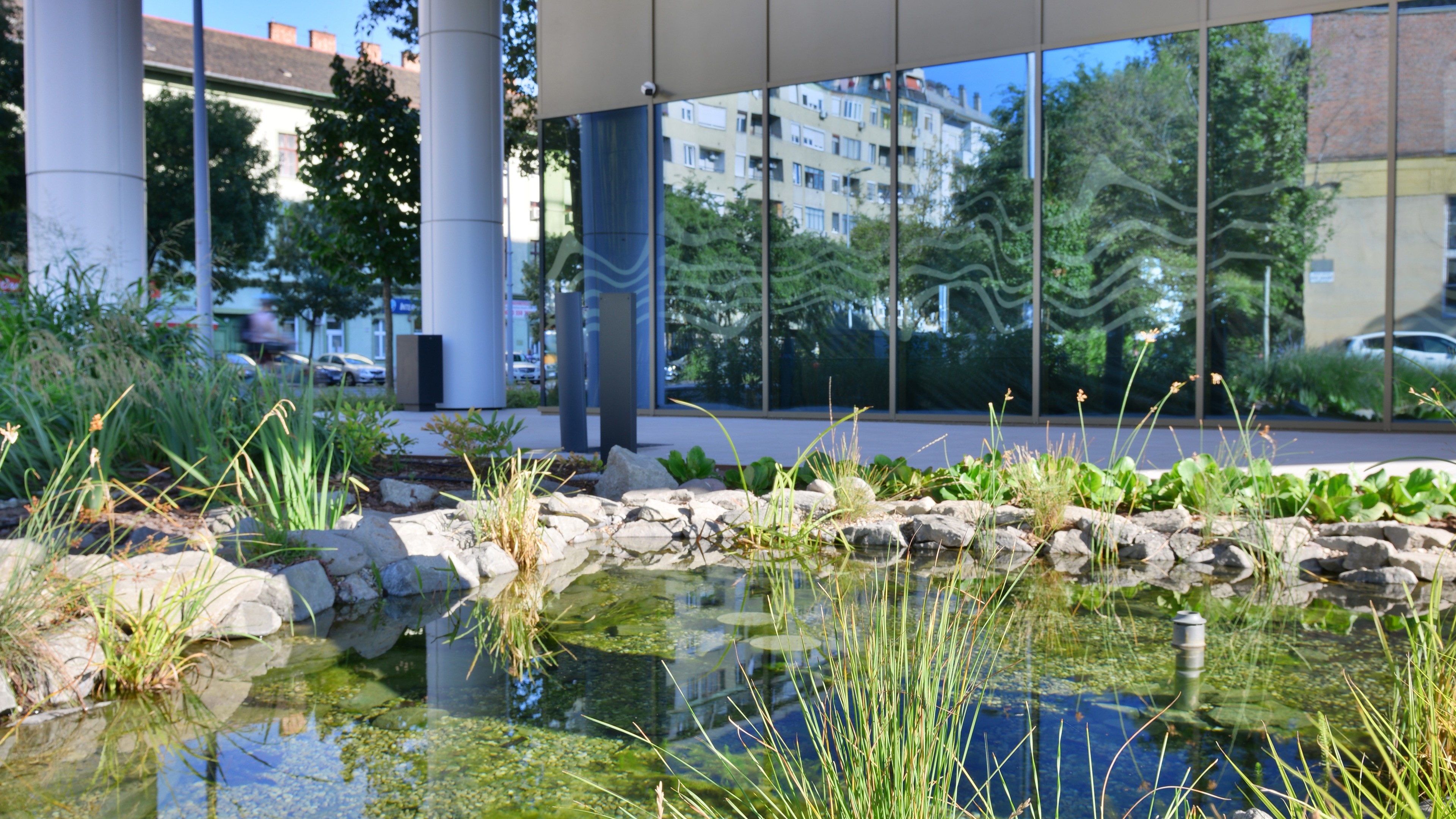 Modern building exterior with reflective glass, stone-edged pond, and lush greenery in urban setting.