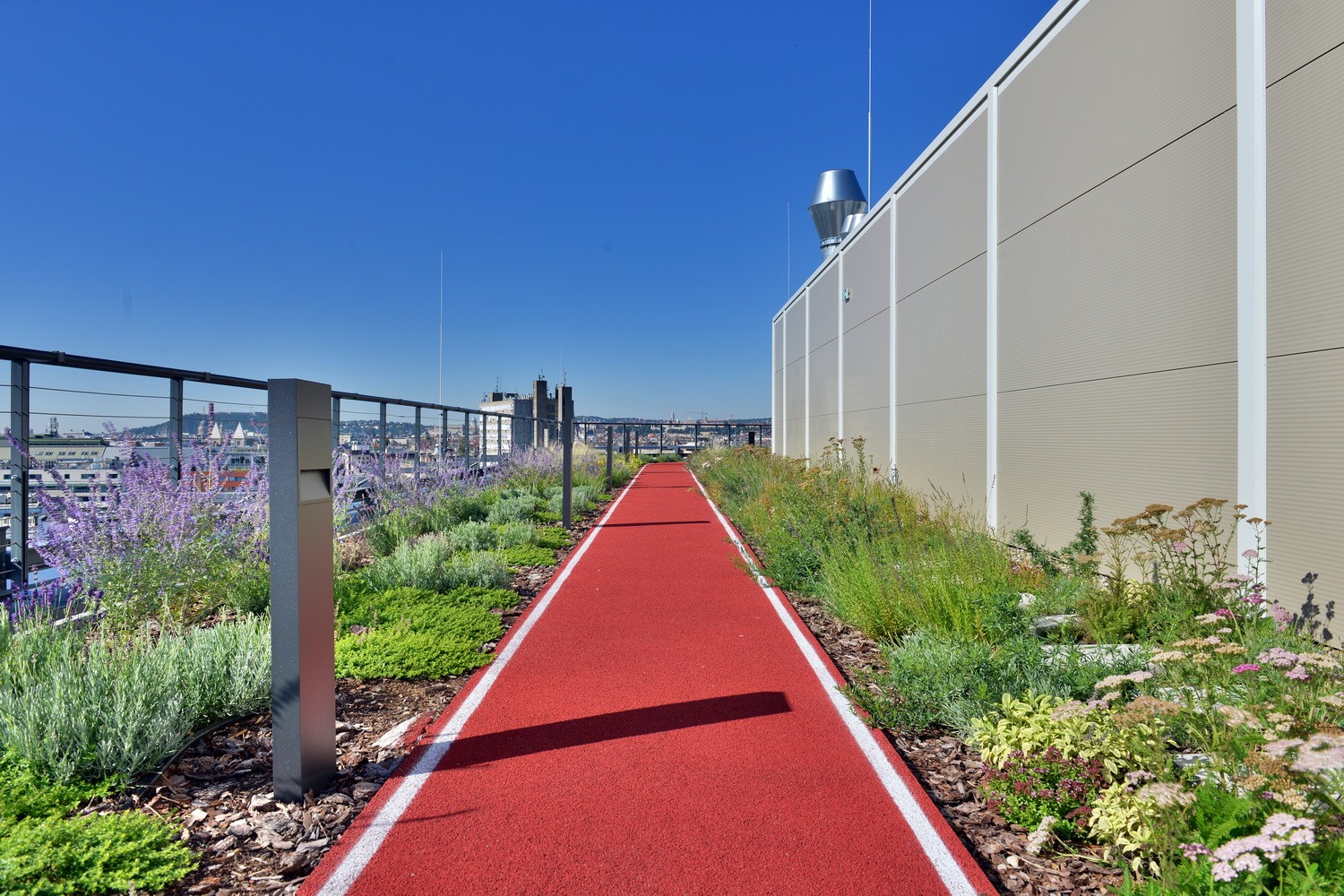 H₂Offices Phase 1 rooftop running track Rooftop garden with a red running track, surrounded by plants, overlooking a cityscape under clear skies.
