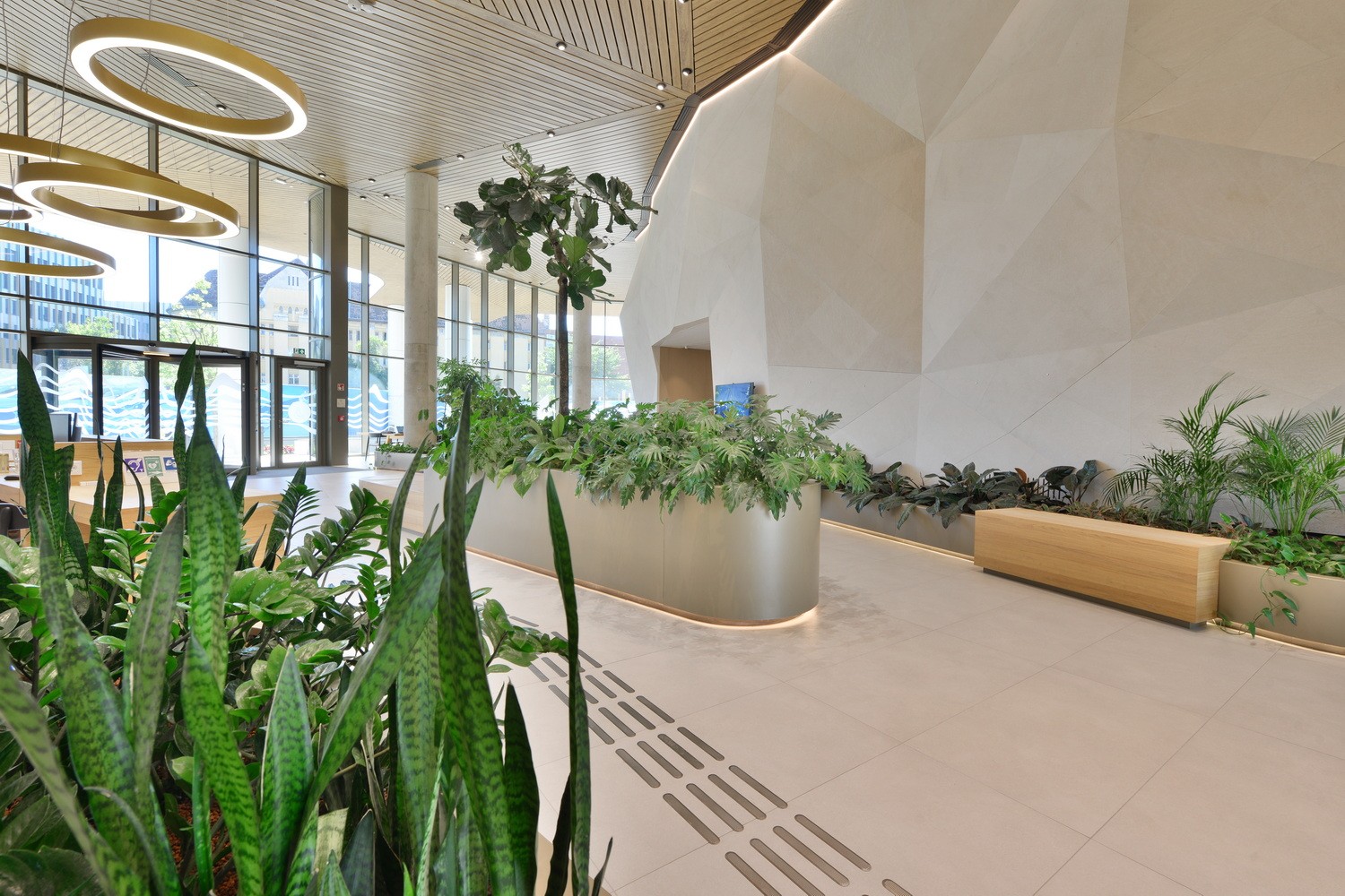 Modern lobby with geometric wall, lush indoor plants, and circular ceiling lights.