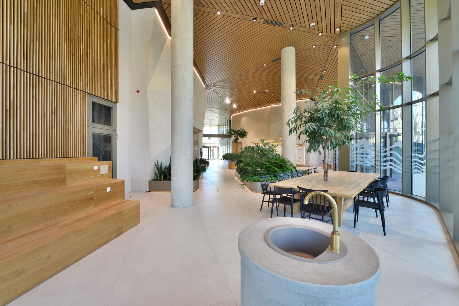 Modern open-plan office interior with wooden accents, plants, and a communal seating area.