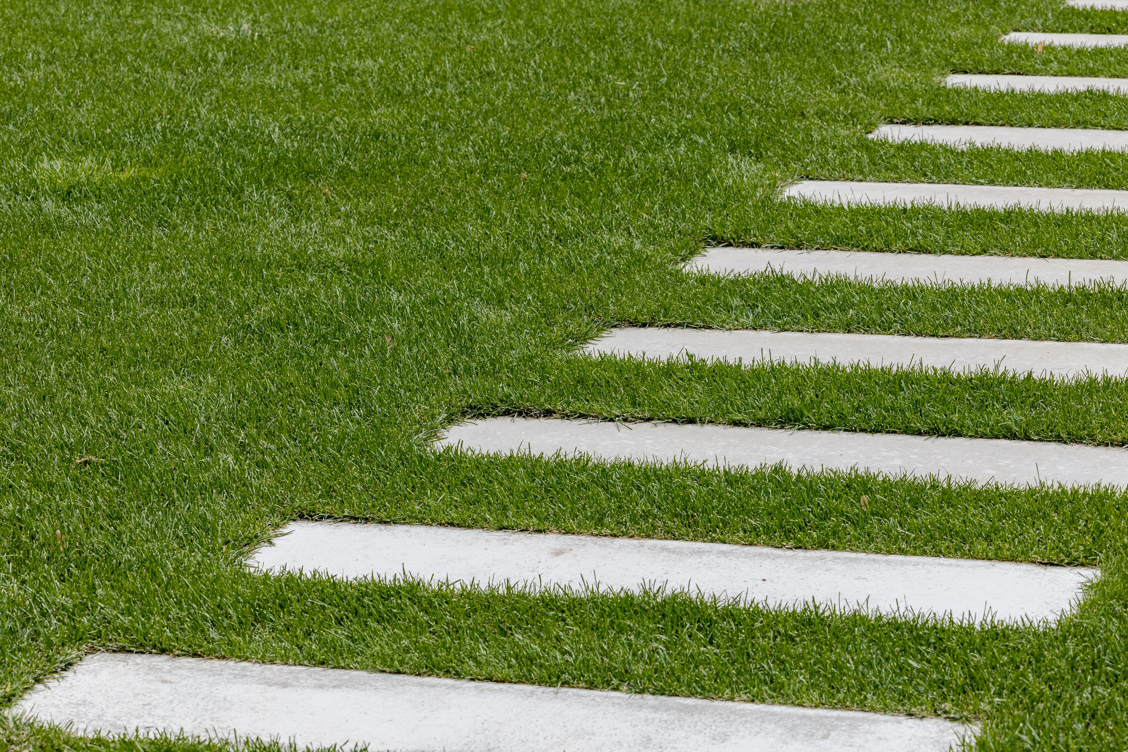 Concrete stepping stones arranged in grass forming a modern garden pathway.