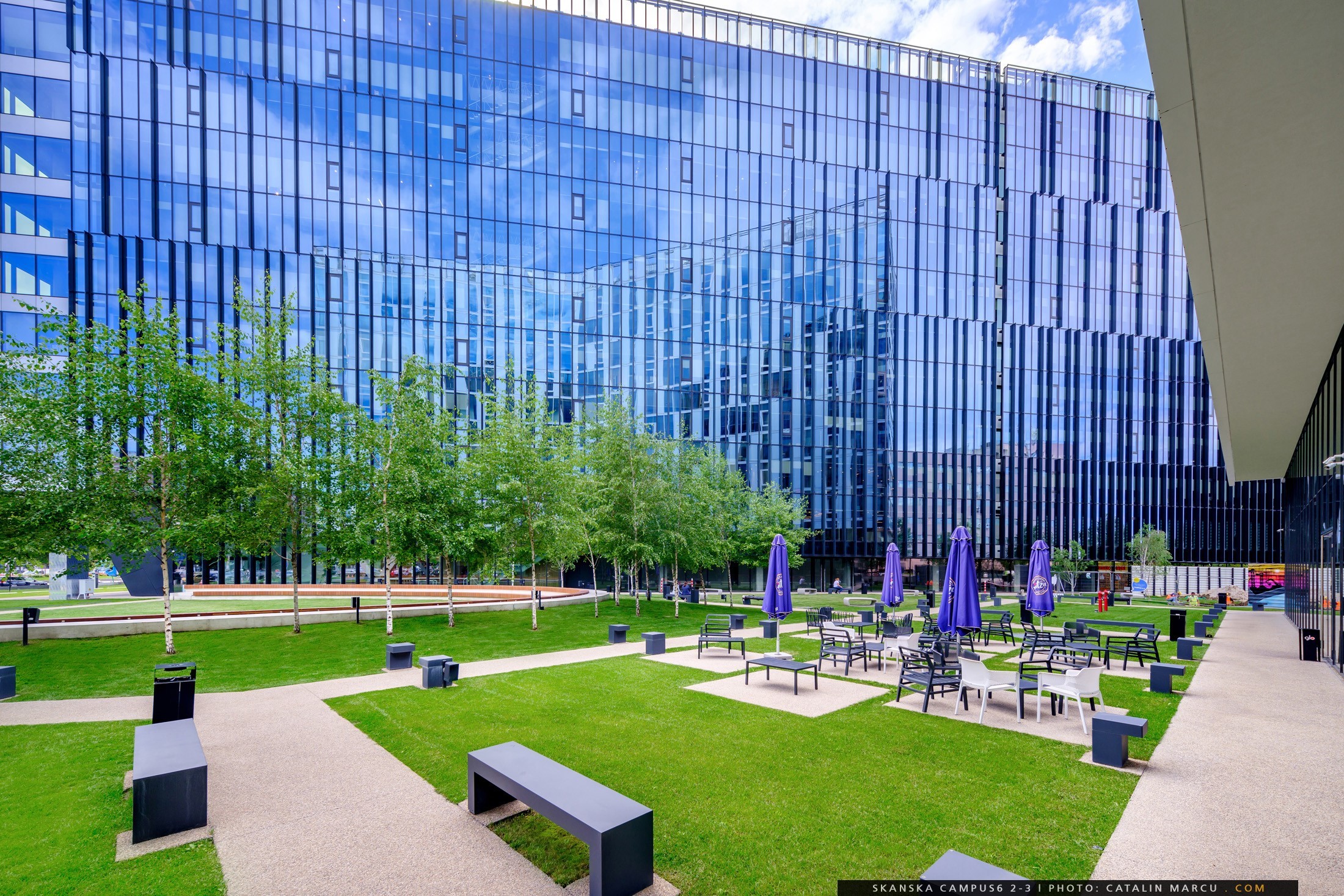 Modern glass building with outdoor seating area, trees, and purple umbrellas on a sunny day.
