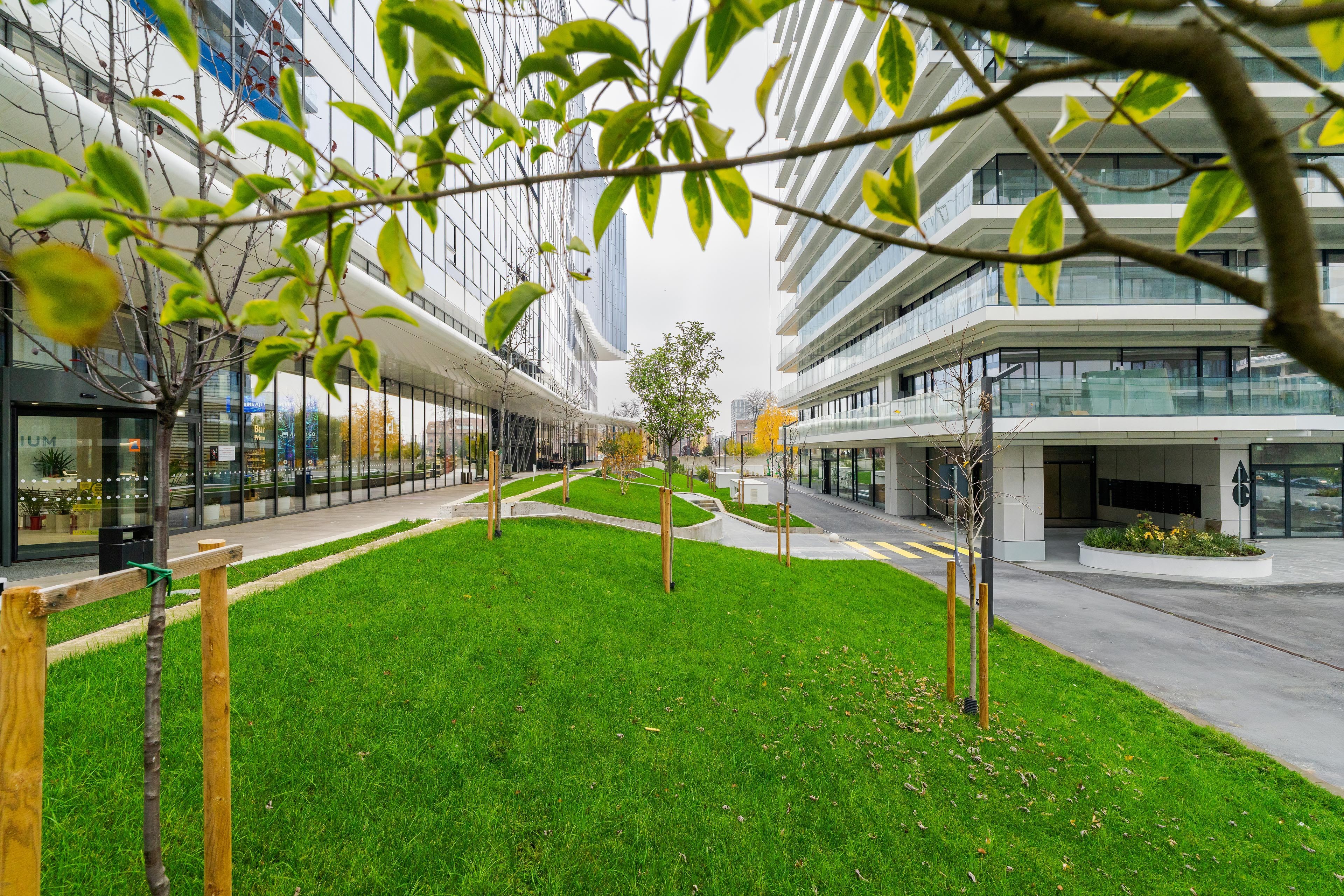 Modern urban landscape with green lawns, young trees, and contemporary glass buildings.