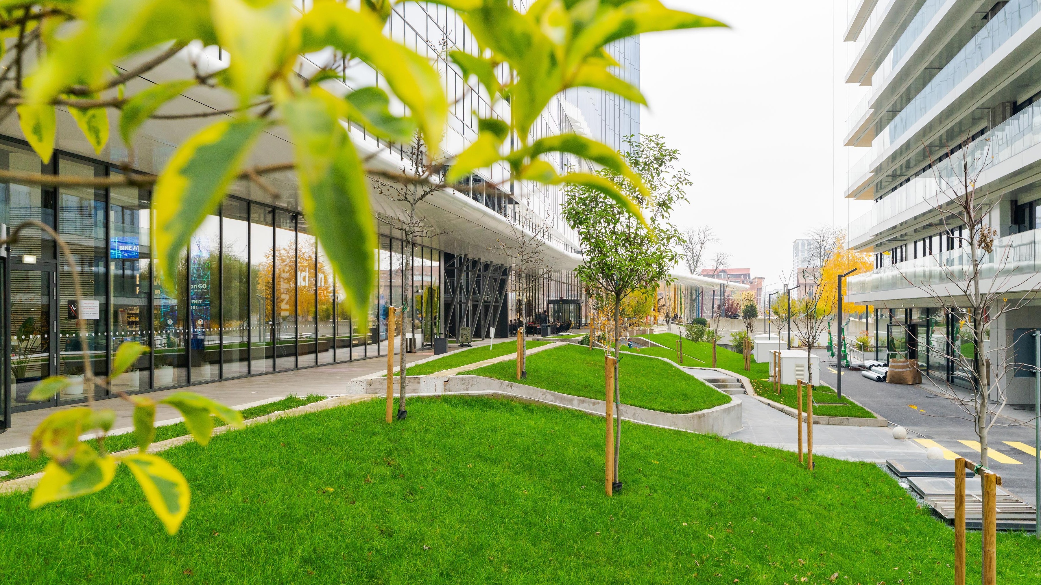 Equilibrium 2 green area Modern urban park with green grass and young trees surrounded by sleek buildings and walkways.
