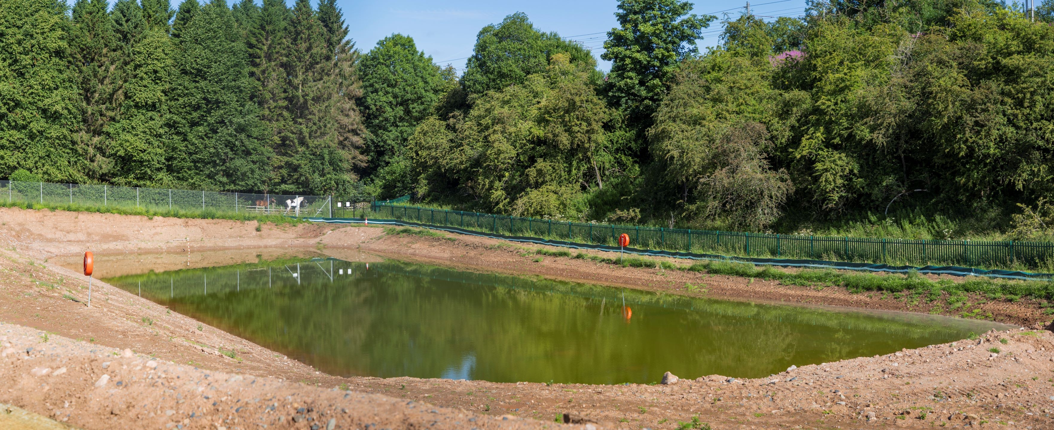 Man-made Pond Surrounded by Trees and Fencing in Nature Park A small man-made pond surrounded by soil and green trees under a clear sky.