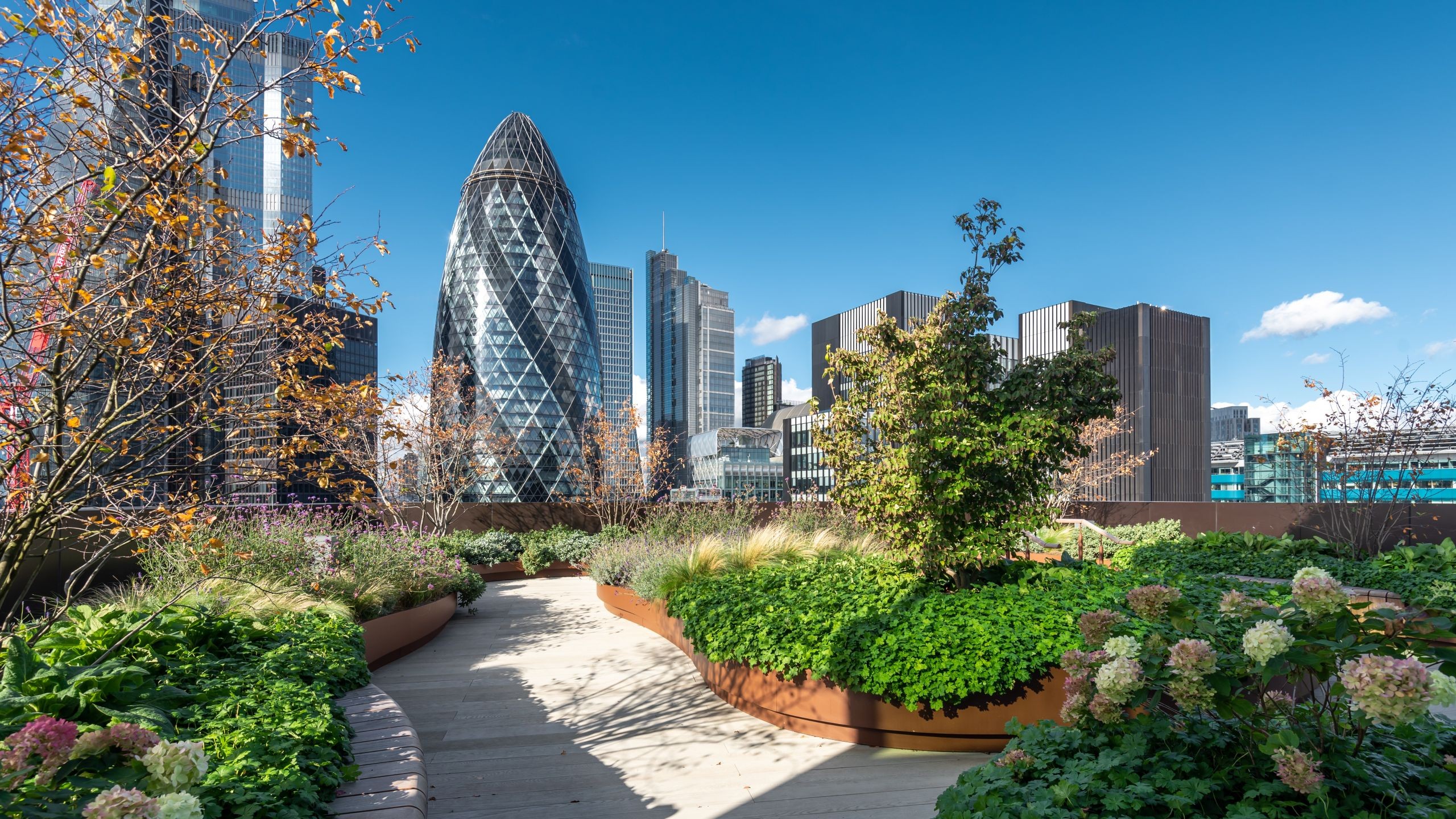 Urban rooftop garden with city skyline and modern buildings Urban rooftop garden with lush greenery and modern skyscrapers under a clear blue sky.