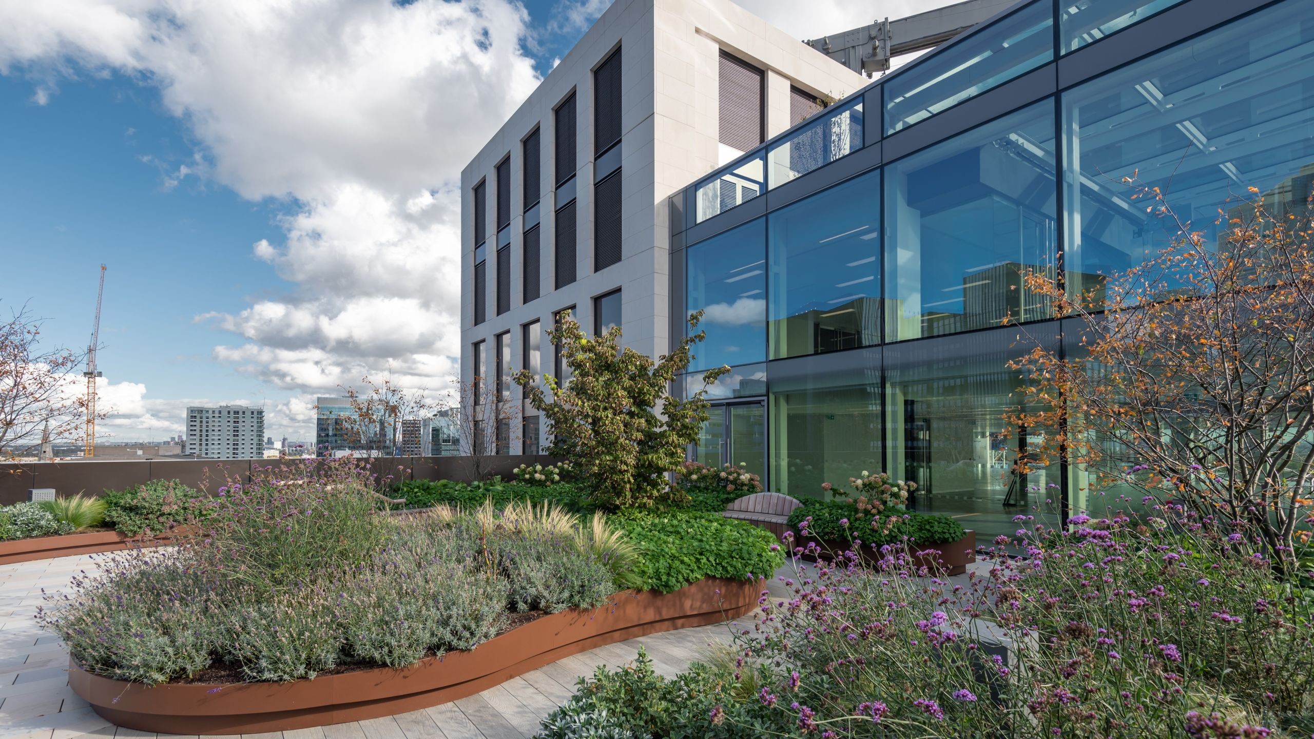 80 Fenchurch Street, London Modern rooftop garden with lush plants and glass office building under a blue sky.