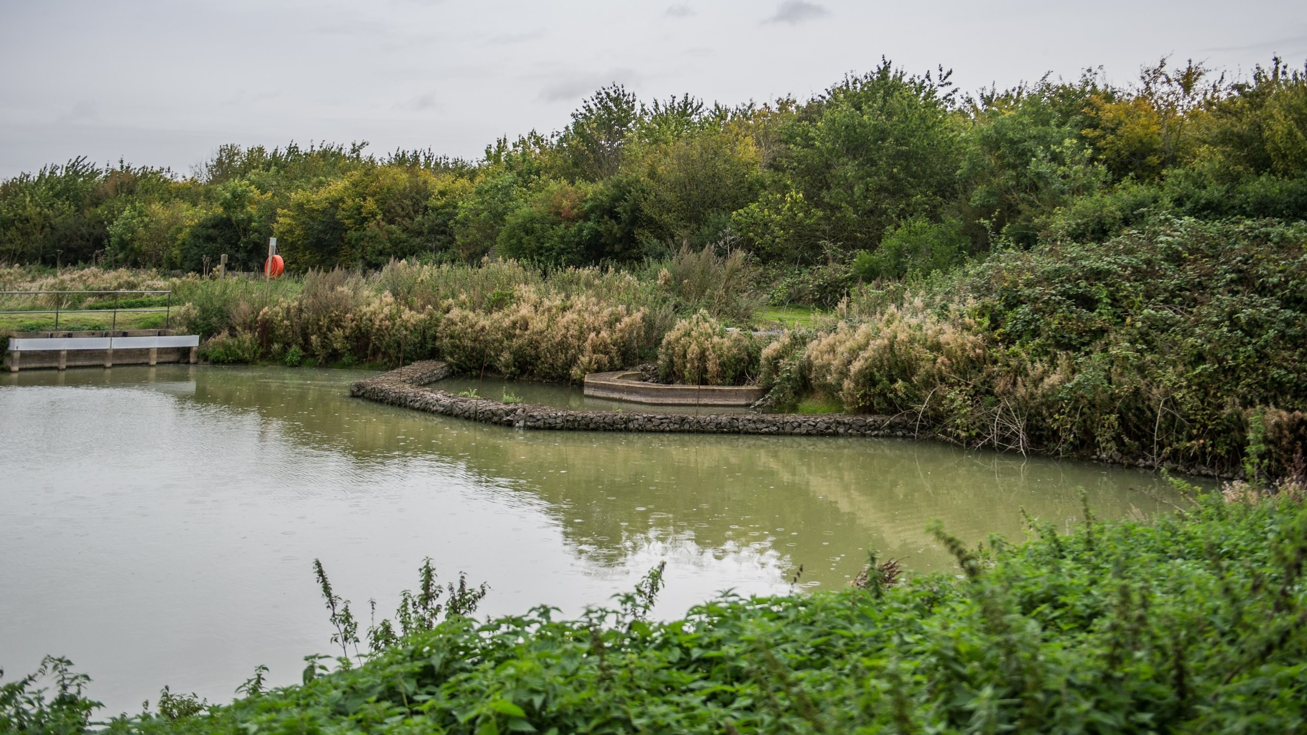 Calm pond surrounded by dense green bushes and trees under a cloudy sky.