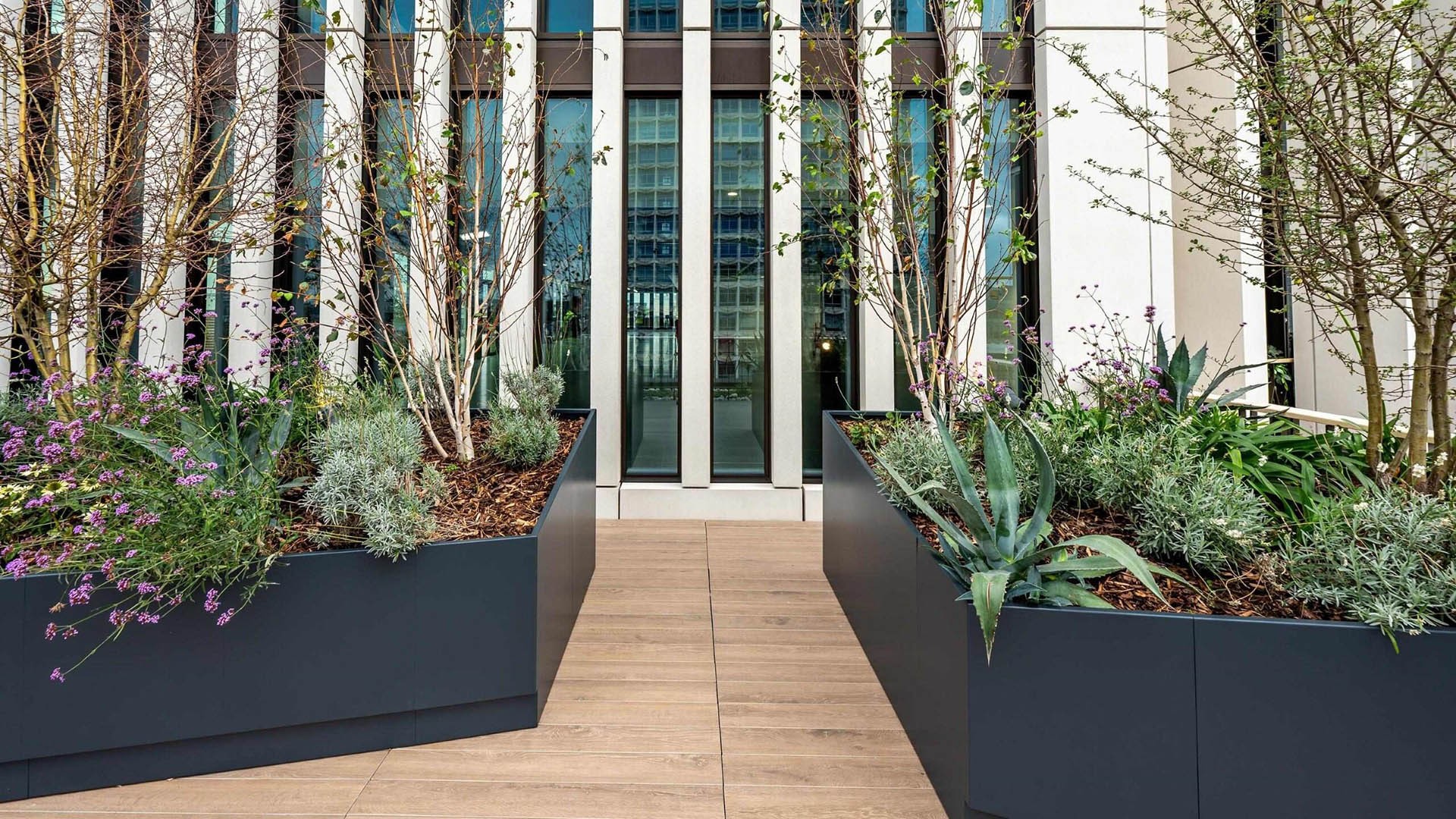 Modern building facade with large planters featuring a variety of trees and plants on a wooden deck.